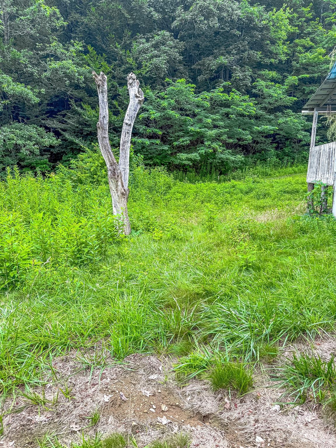 3454 Puncheon Fork Road Property Photo 42