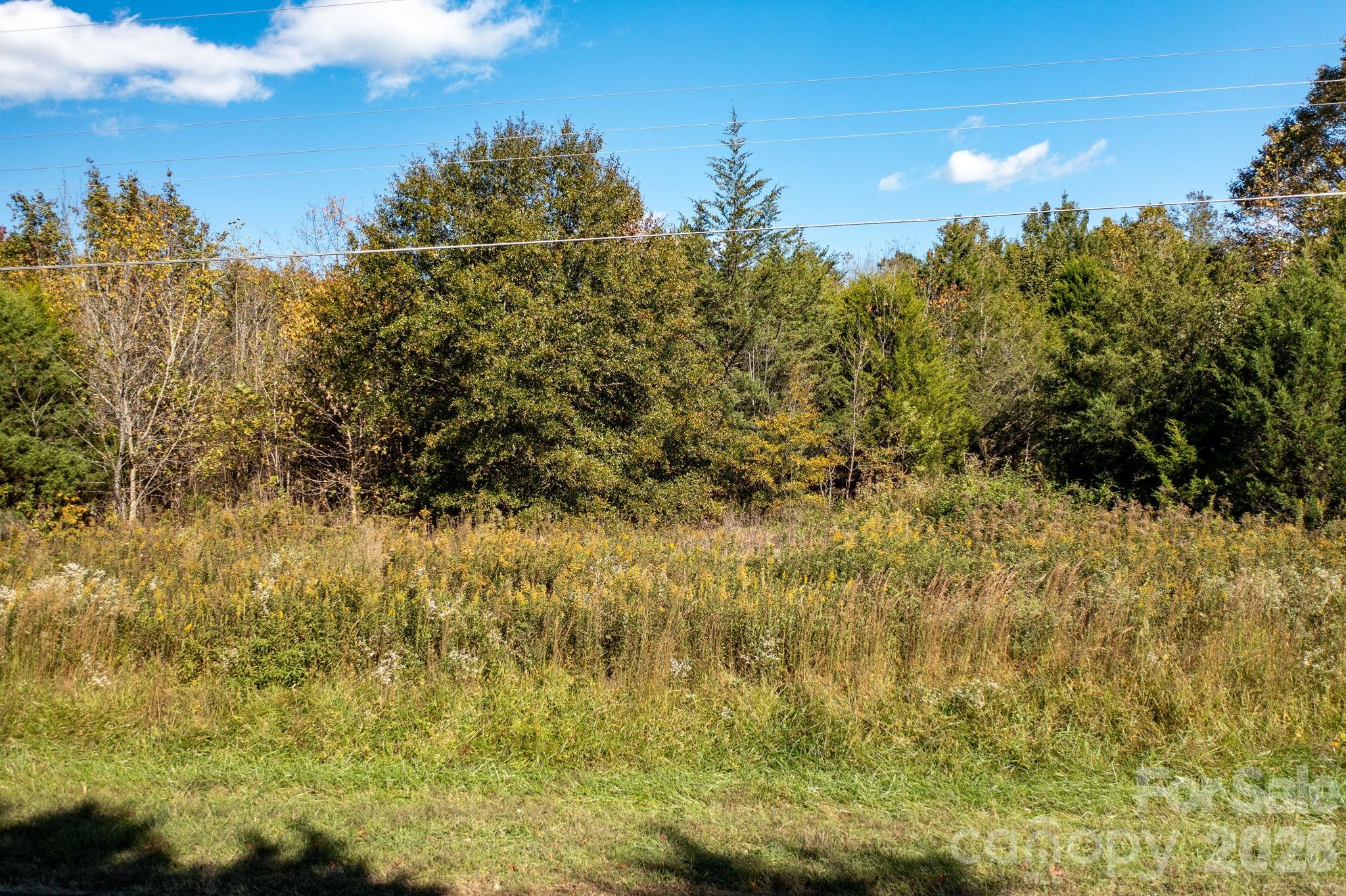 0 Rest Home Road Property Photo 4