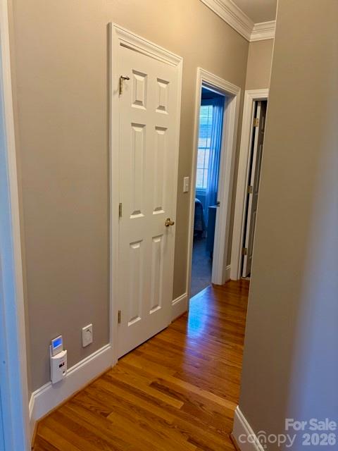 141 Spring Forest Drive Property Photo 23