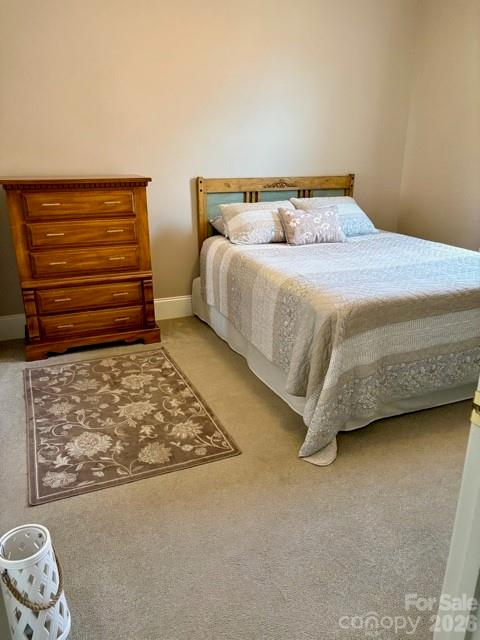 141 Spring Forest Drive Property Photo 26