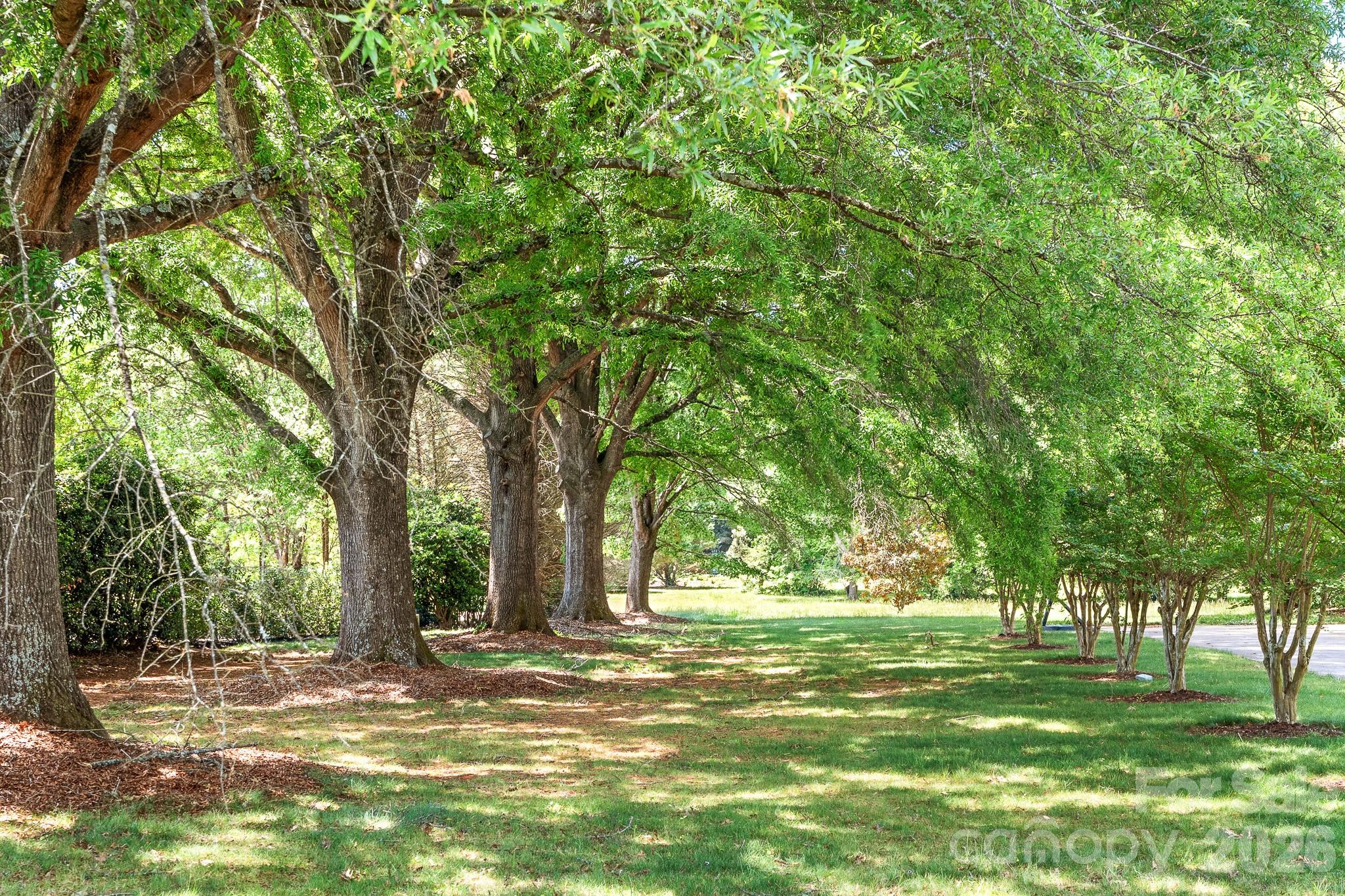 431 Walden Trail Property Photo 45