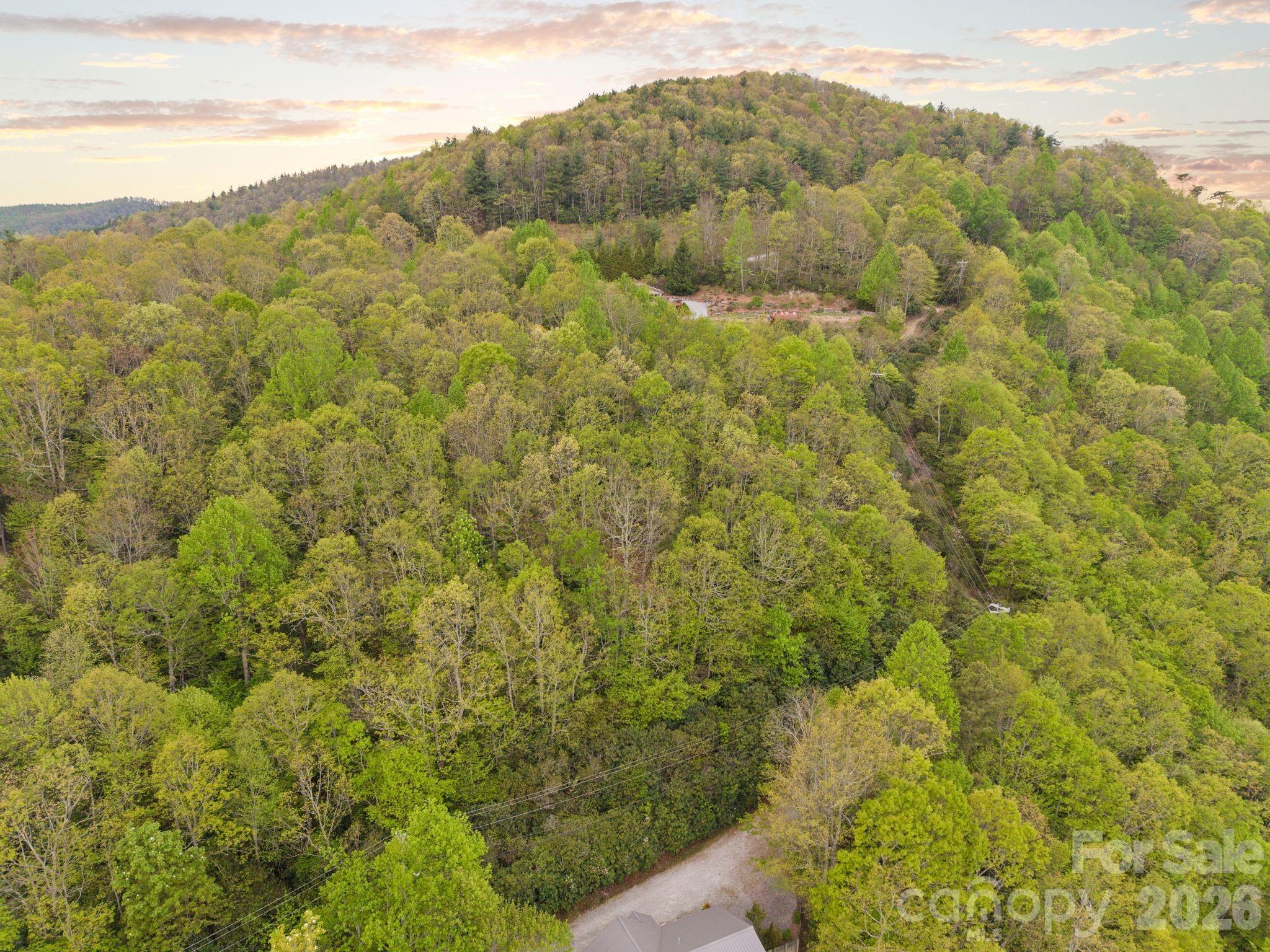 Tbd Pinnacle Mountain Road Property Photo 4