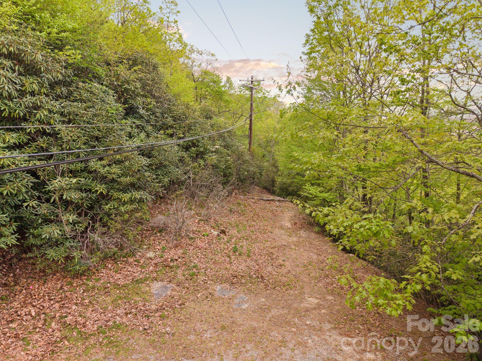 Tbd Pinnacle Mountain Road Property Photo 7