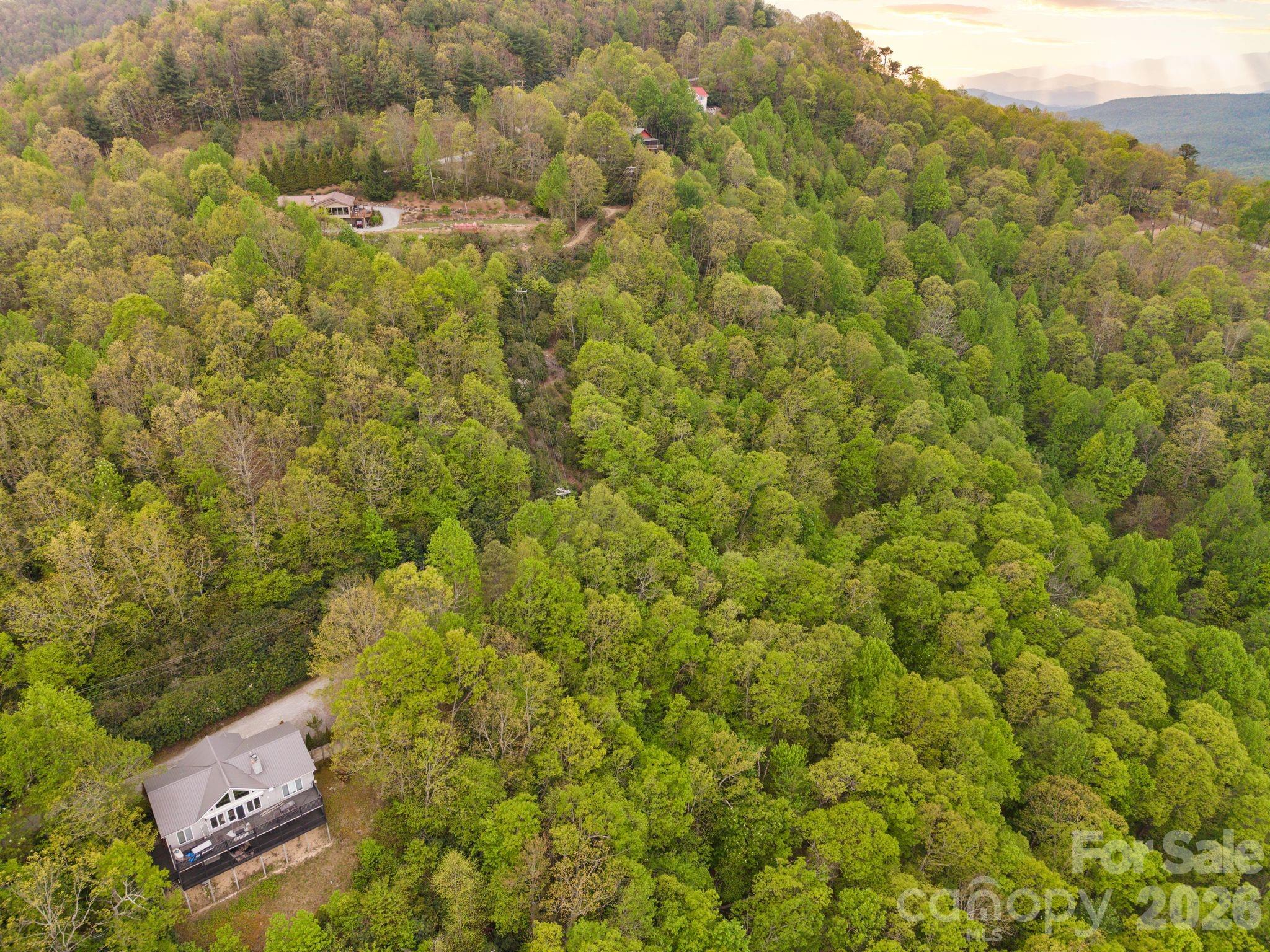 Tbd Pinnacle Mountain Road Property Photo 9