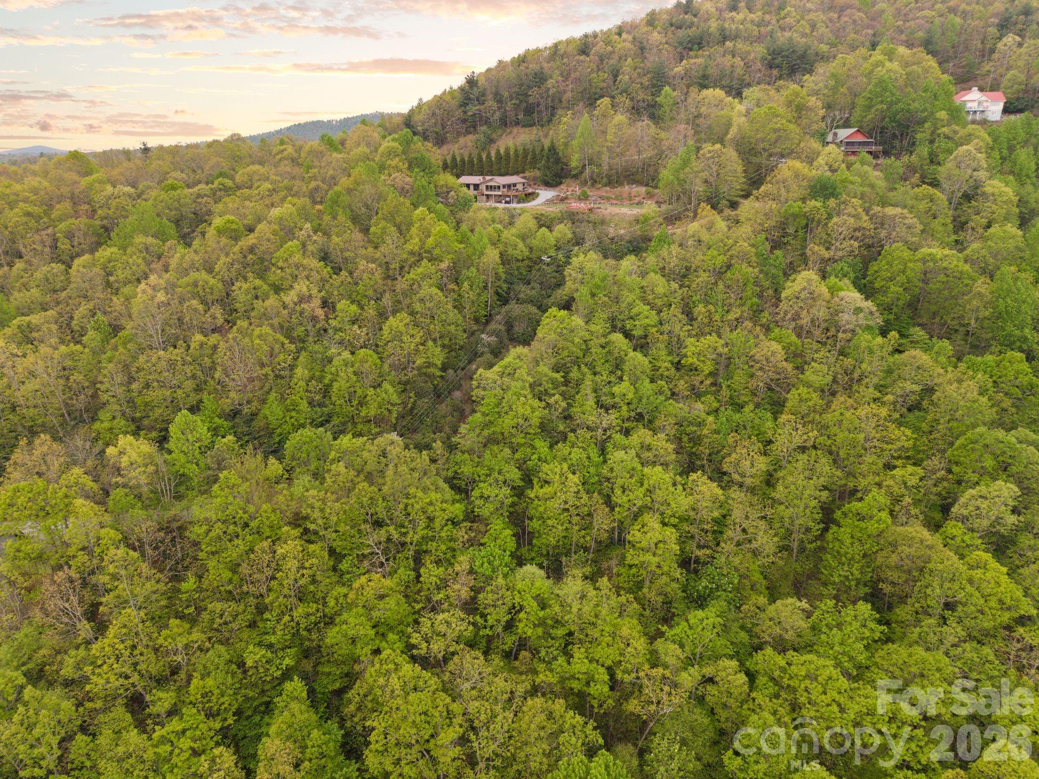 Tbd Pinnacle Mountain Road Property Photo 10