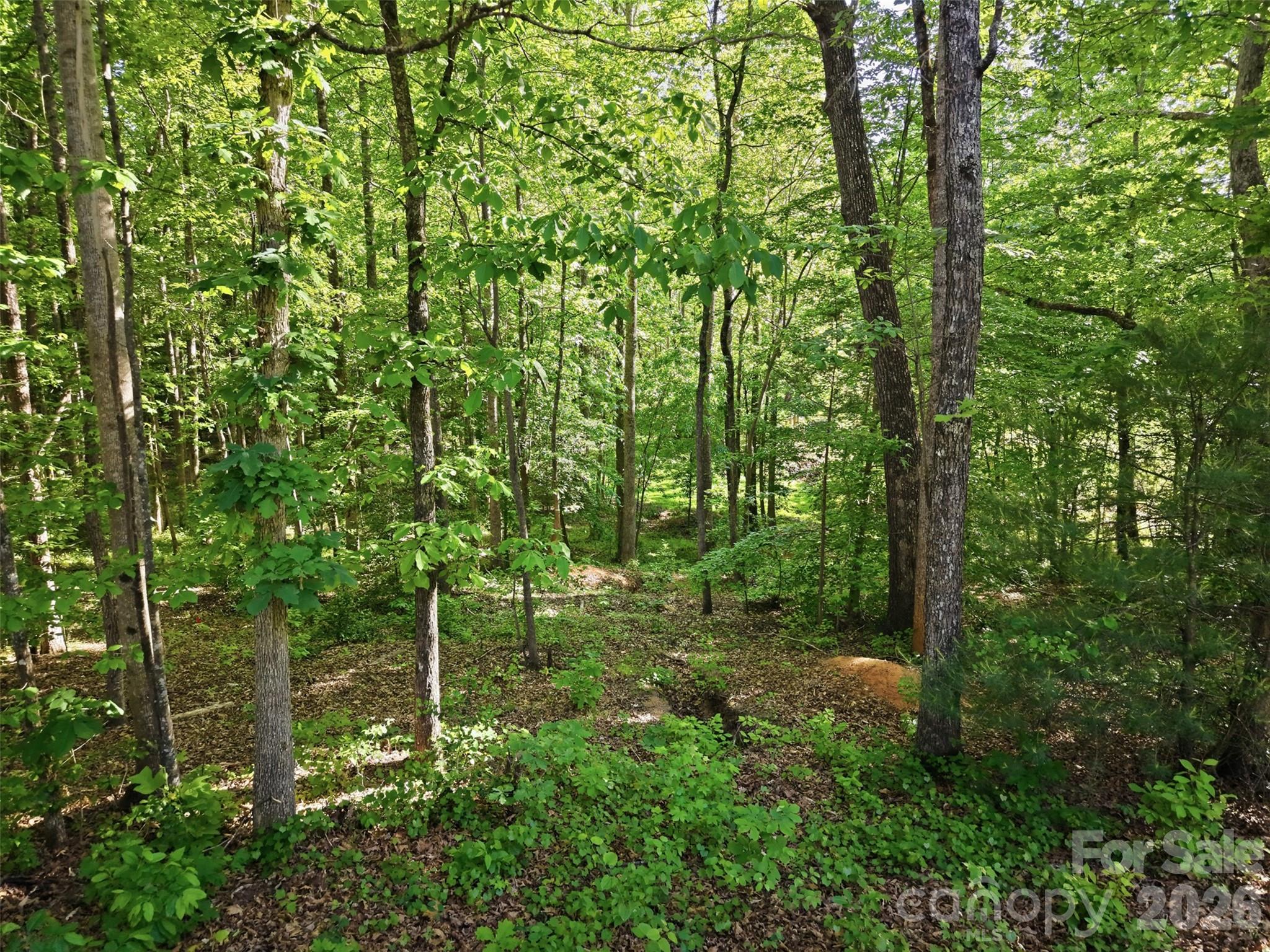 296 Broken Arrow Drive Property Photo 16