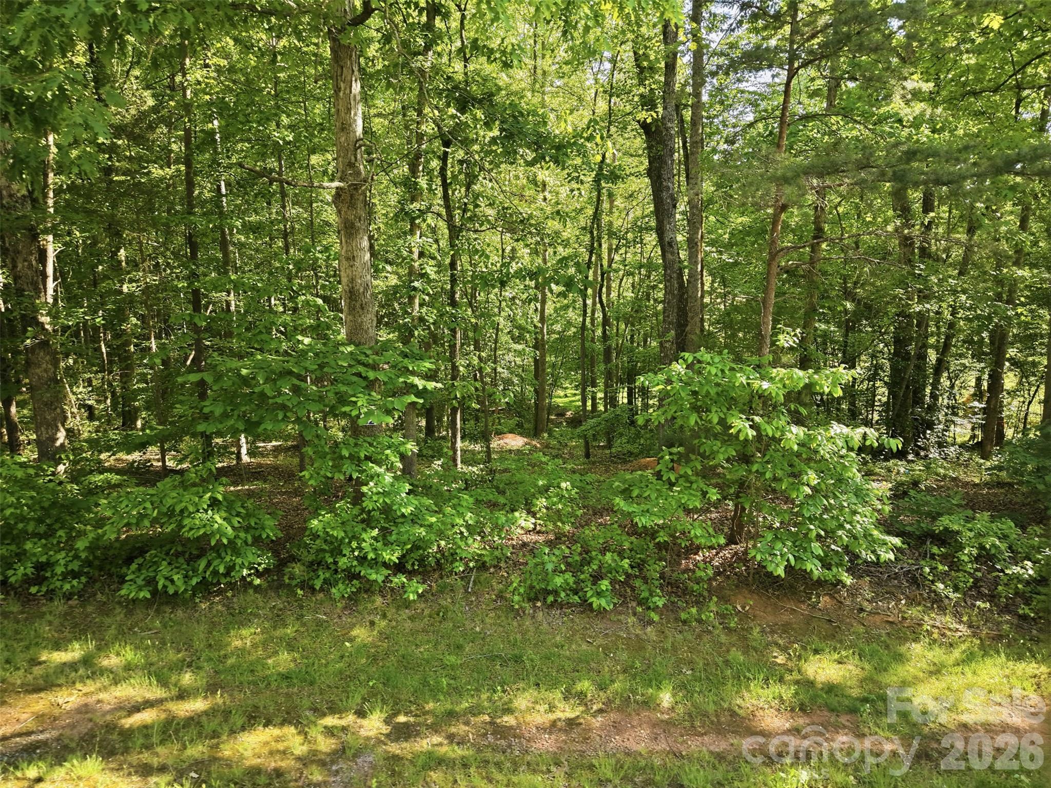 296 Broken Arrow Drive Property Photo 17