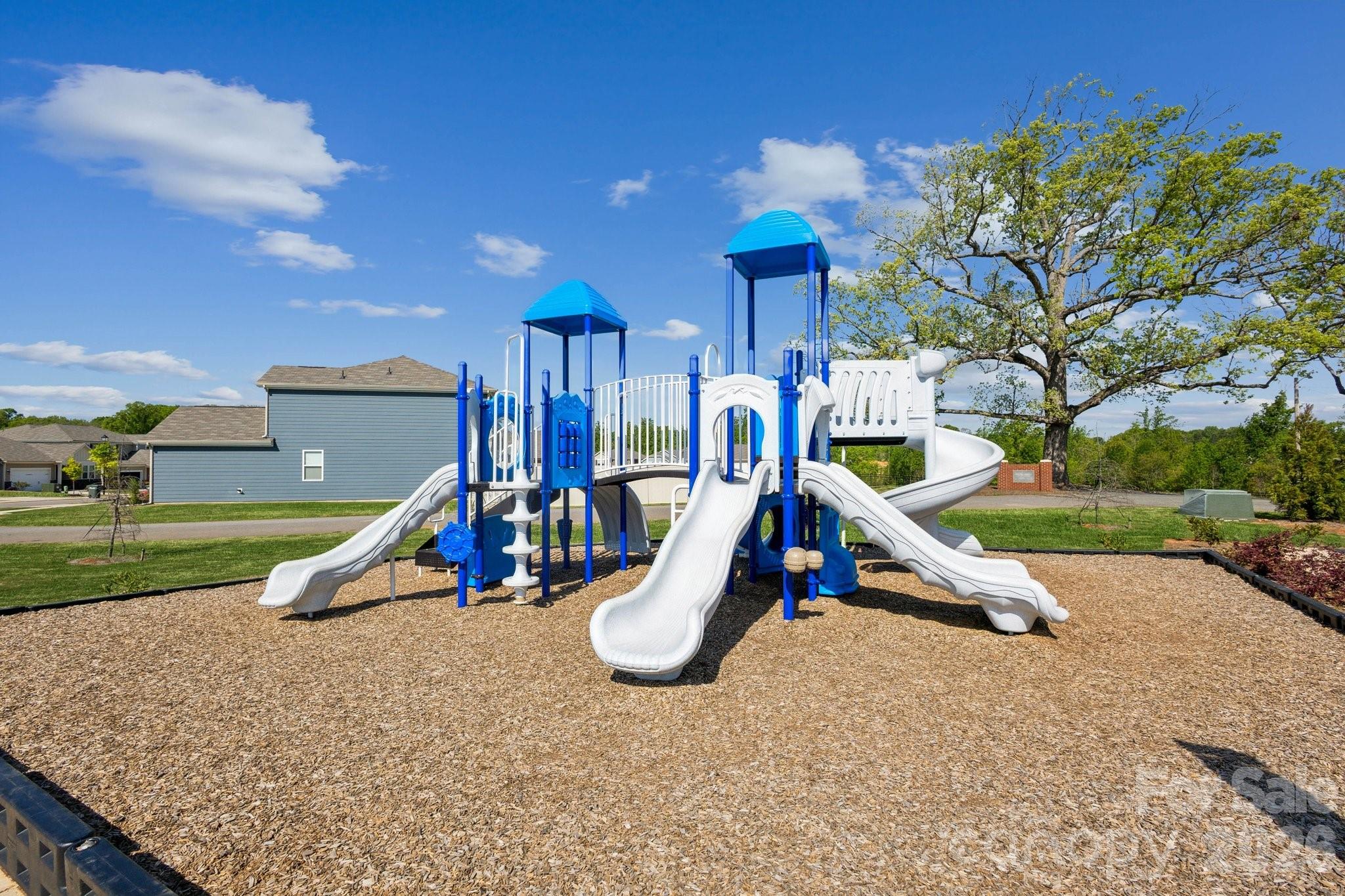 2504 Switchgrass Court Property Photo 13