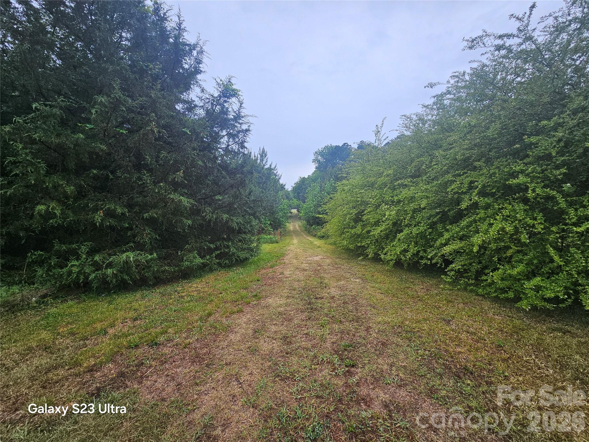 11056 Us Highway 52 Highway Property Photo 34