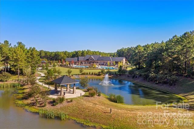 6223 Chimney Bluff Road Property Photo 48