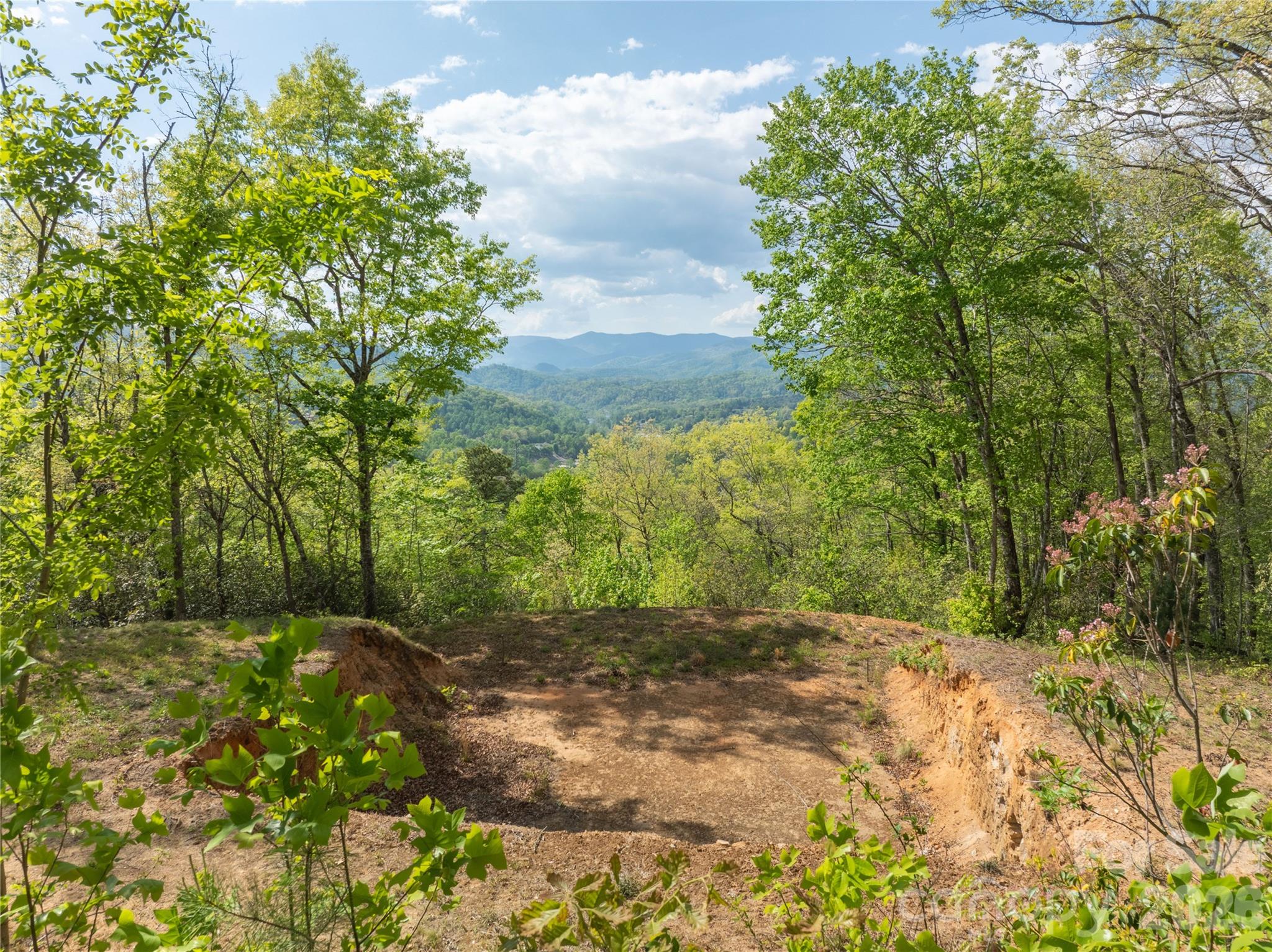 Lot 1 Breedlove Road Property Photo 3