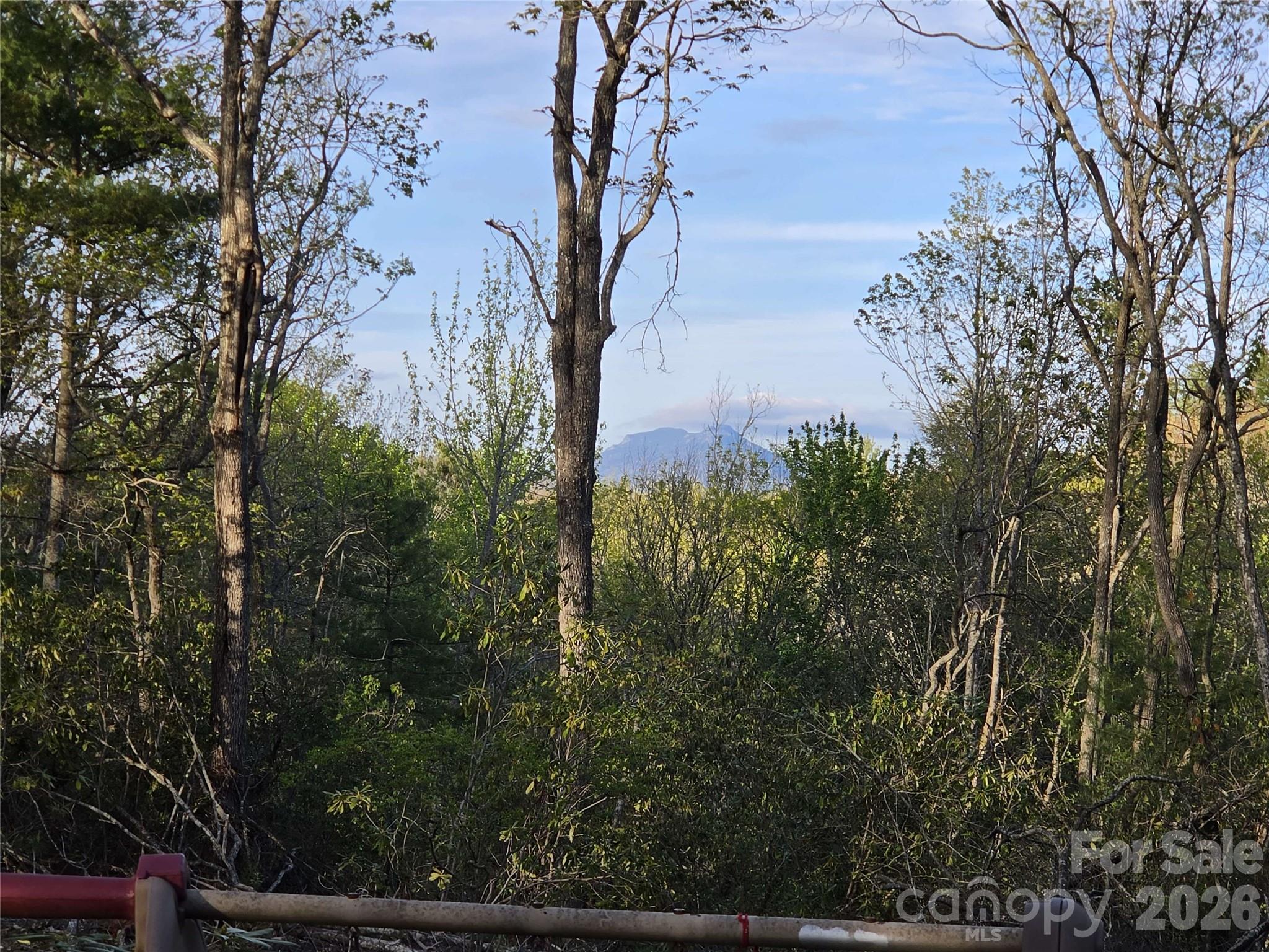 692 Buck Hill Road Property Photo 4