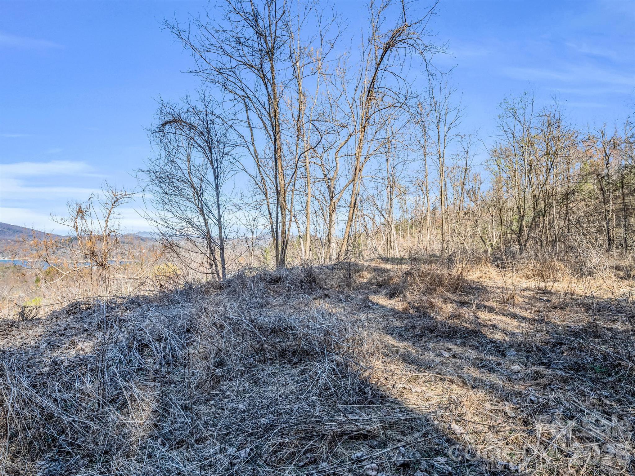 0 Clear Creek Trail 30 Property Photo 17