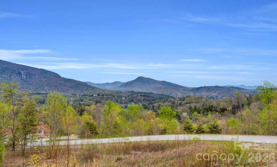 0 Clear Creek Trail 36 Property Photo 6