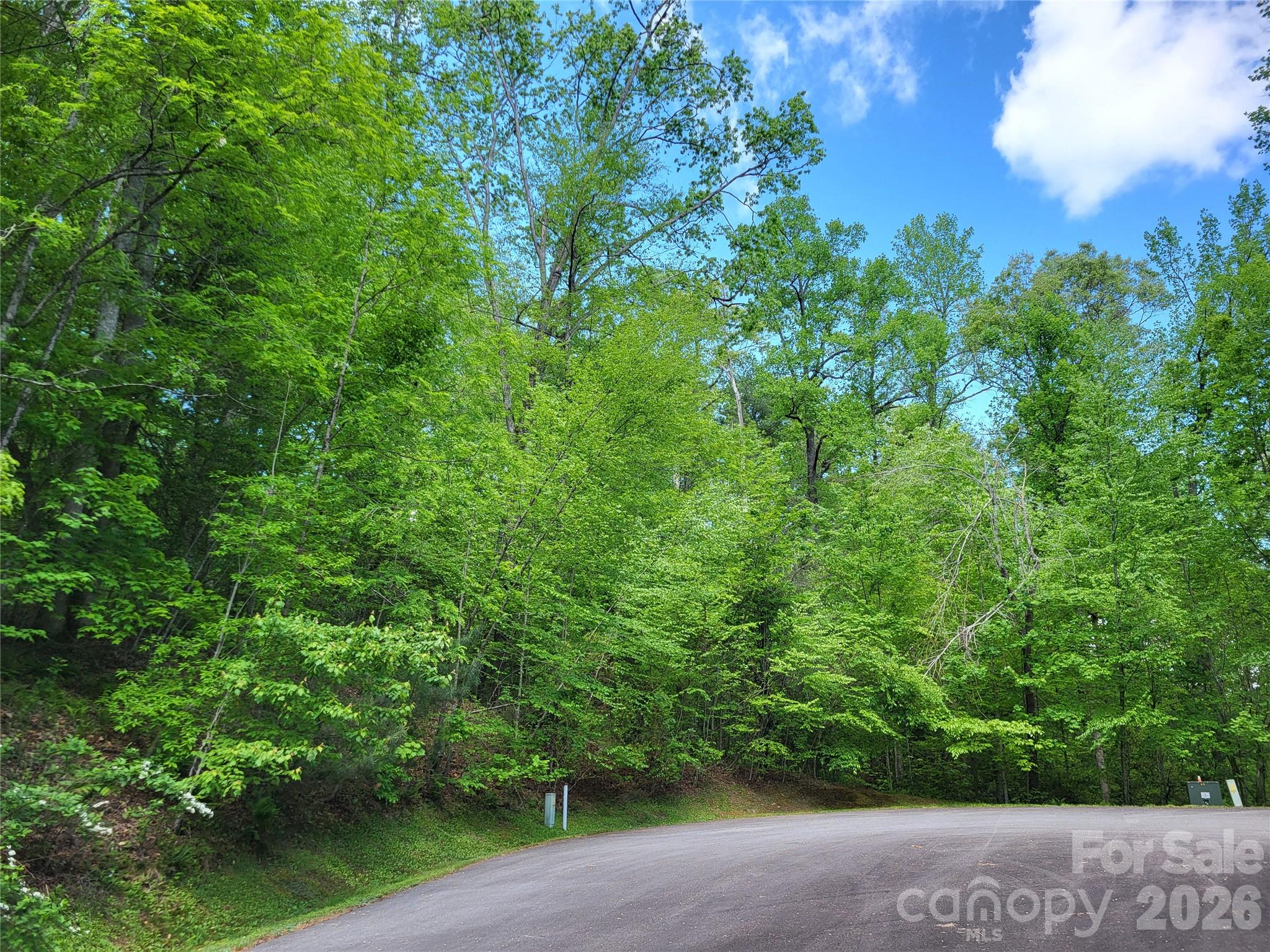 20 Rockbrook Overlook L20 Property Photo 4