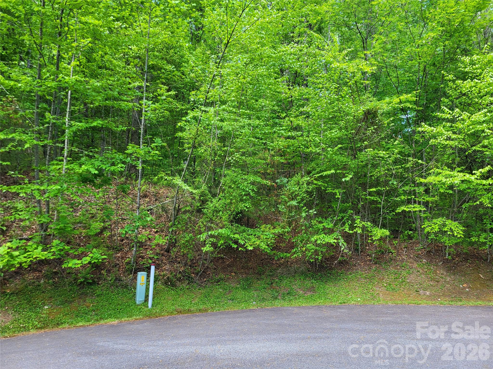 20 Rockbrook Overlook L20 Property Photo 5
