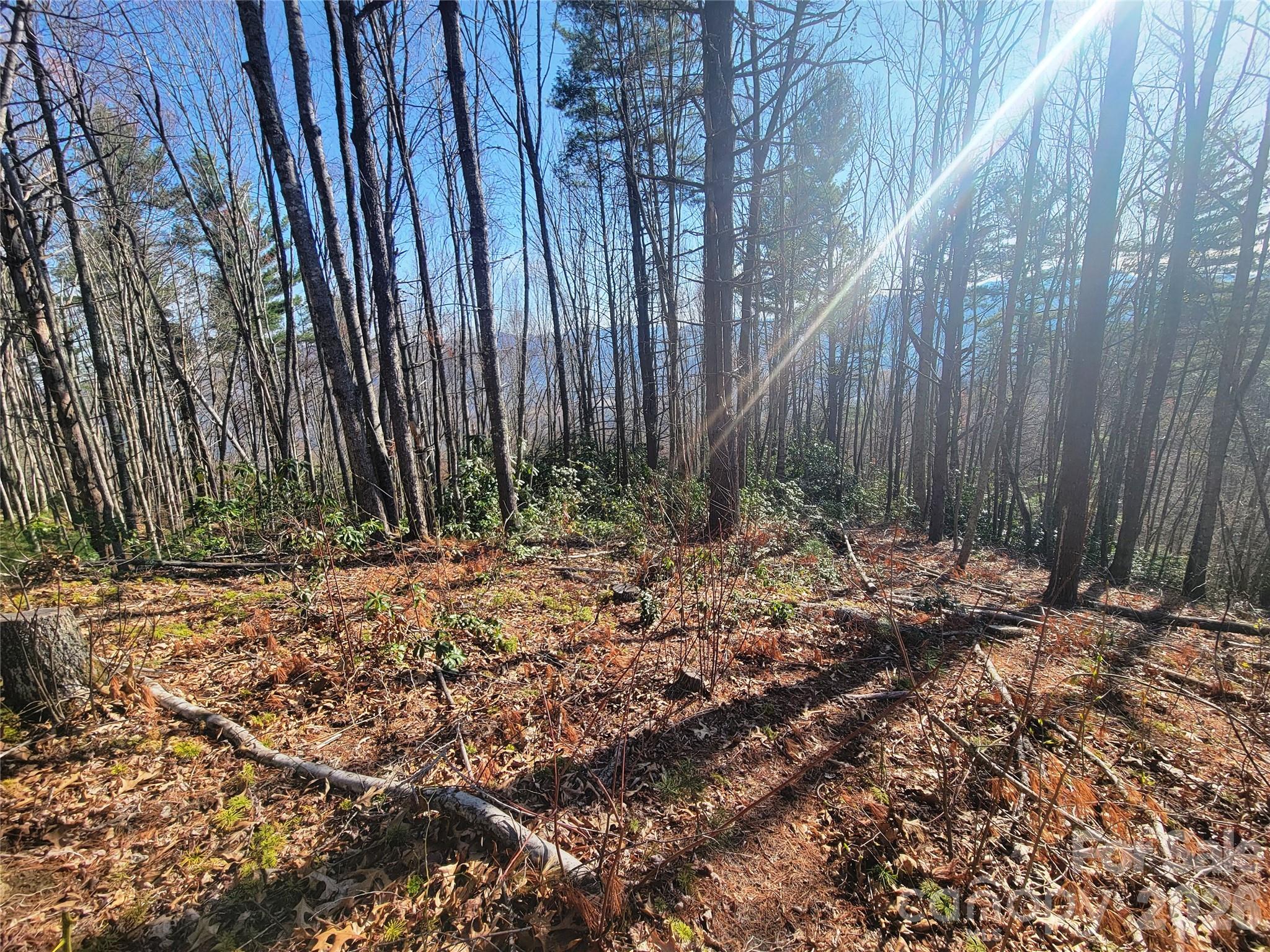 111 Digging Seng Trail 138 Property Photo 1