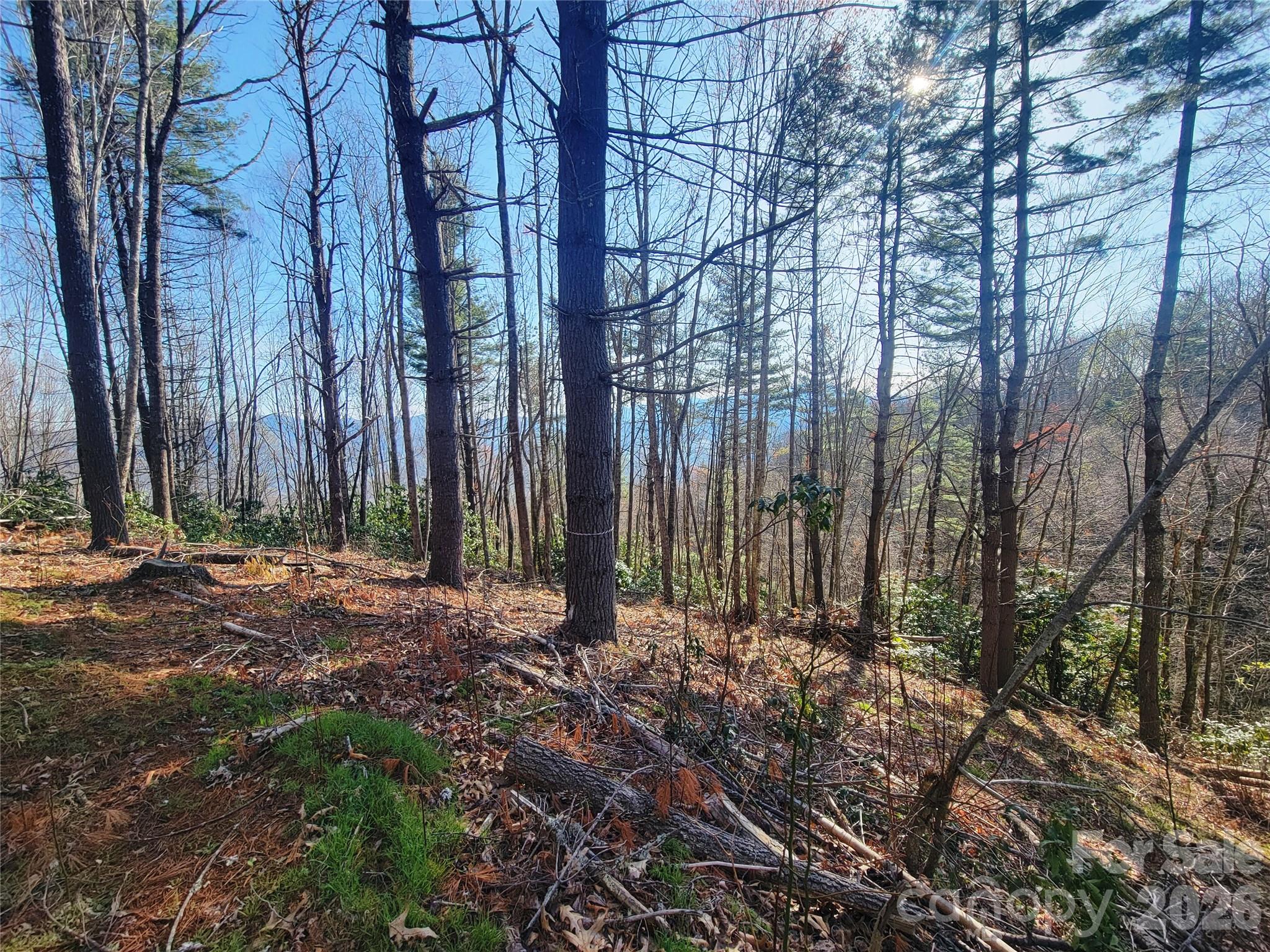 111 Digging Seng Trail 138 Property Photo 3