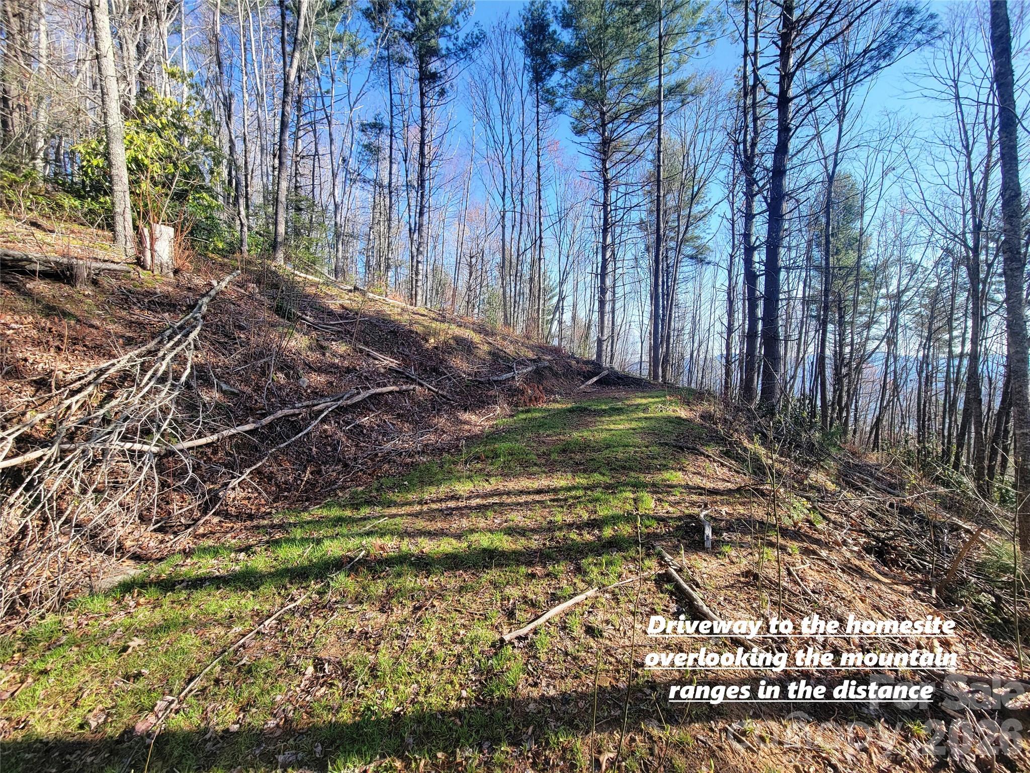 111 Digging Seng Trail 138 Property Photo 4