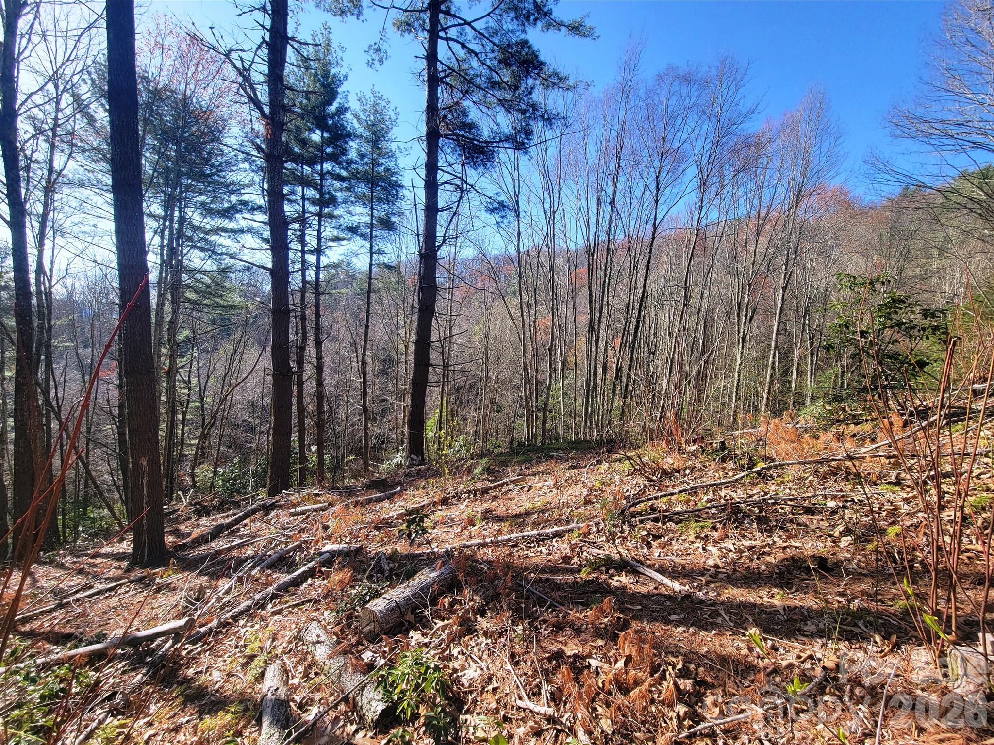 111 Digging Seng Trail 138 Property Photo 6