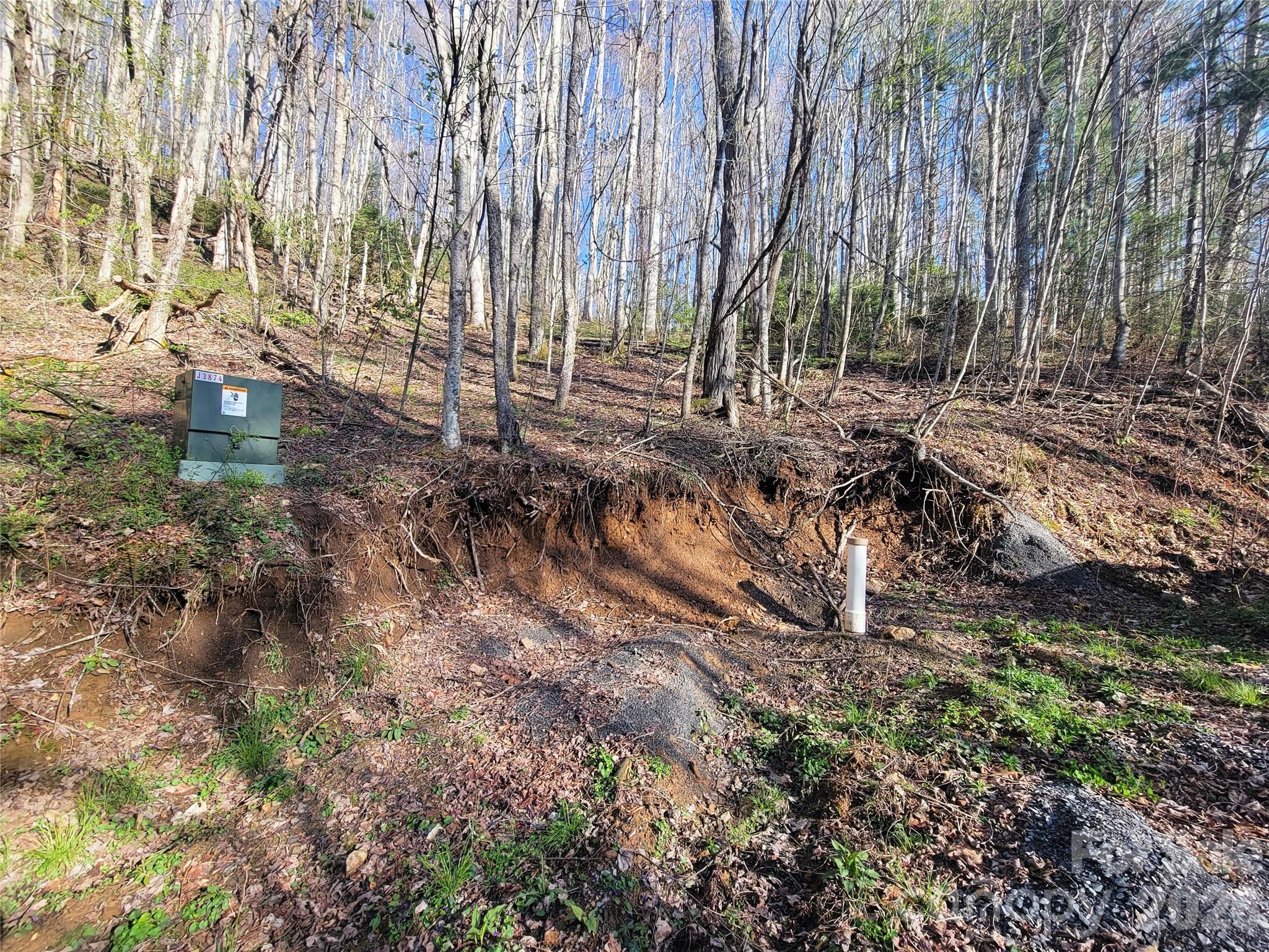 111 Digging Seng Trail 138 Property Photo 7