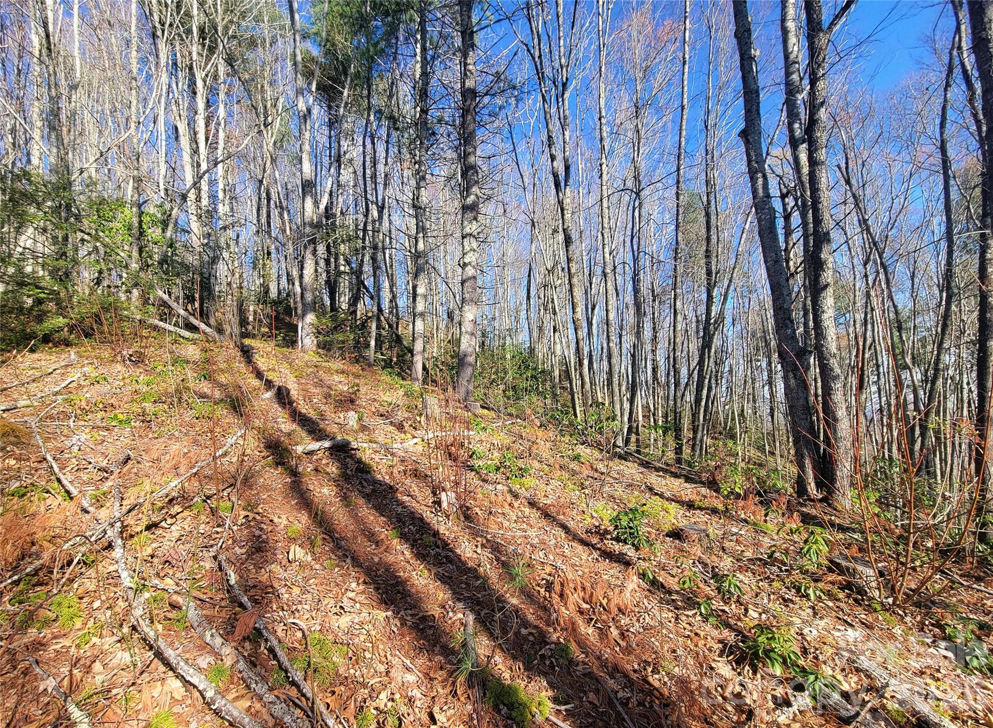 111 Digging Seng Trail 138 Property Photo 8