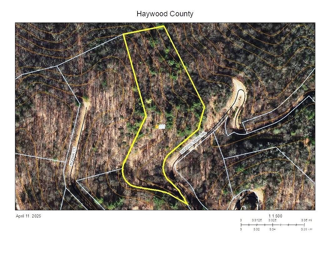 111 Digging Seng Trail 138 Property Photo 9
