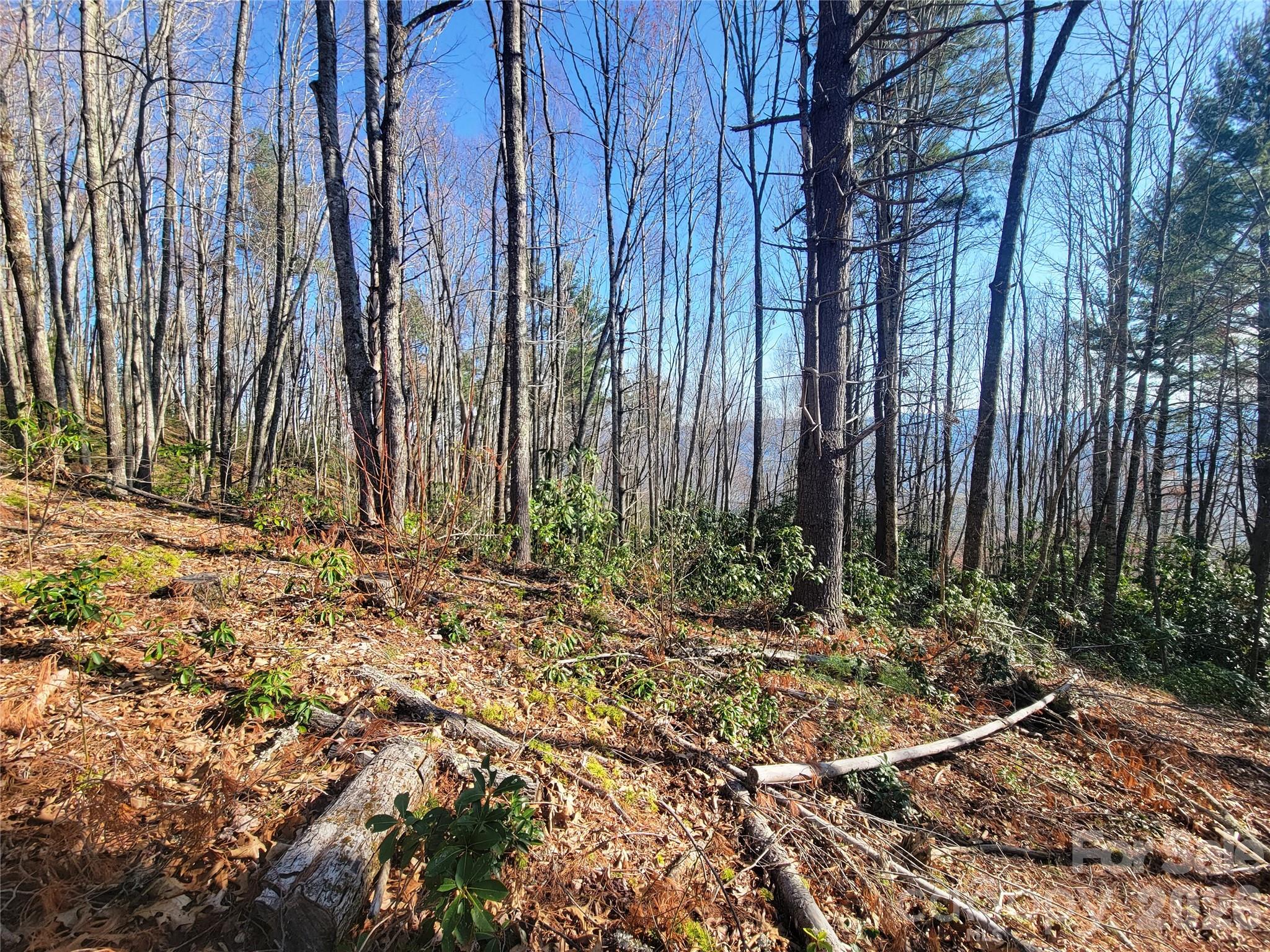 111 Digging Seng Trail 138 Property Photo 10