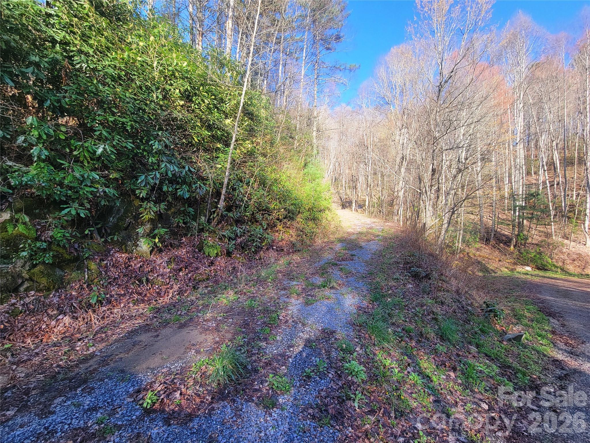 111 Digging Seng Trail 138 Property Photo 11