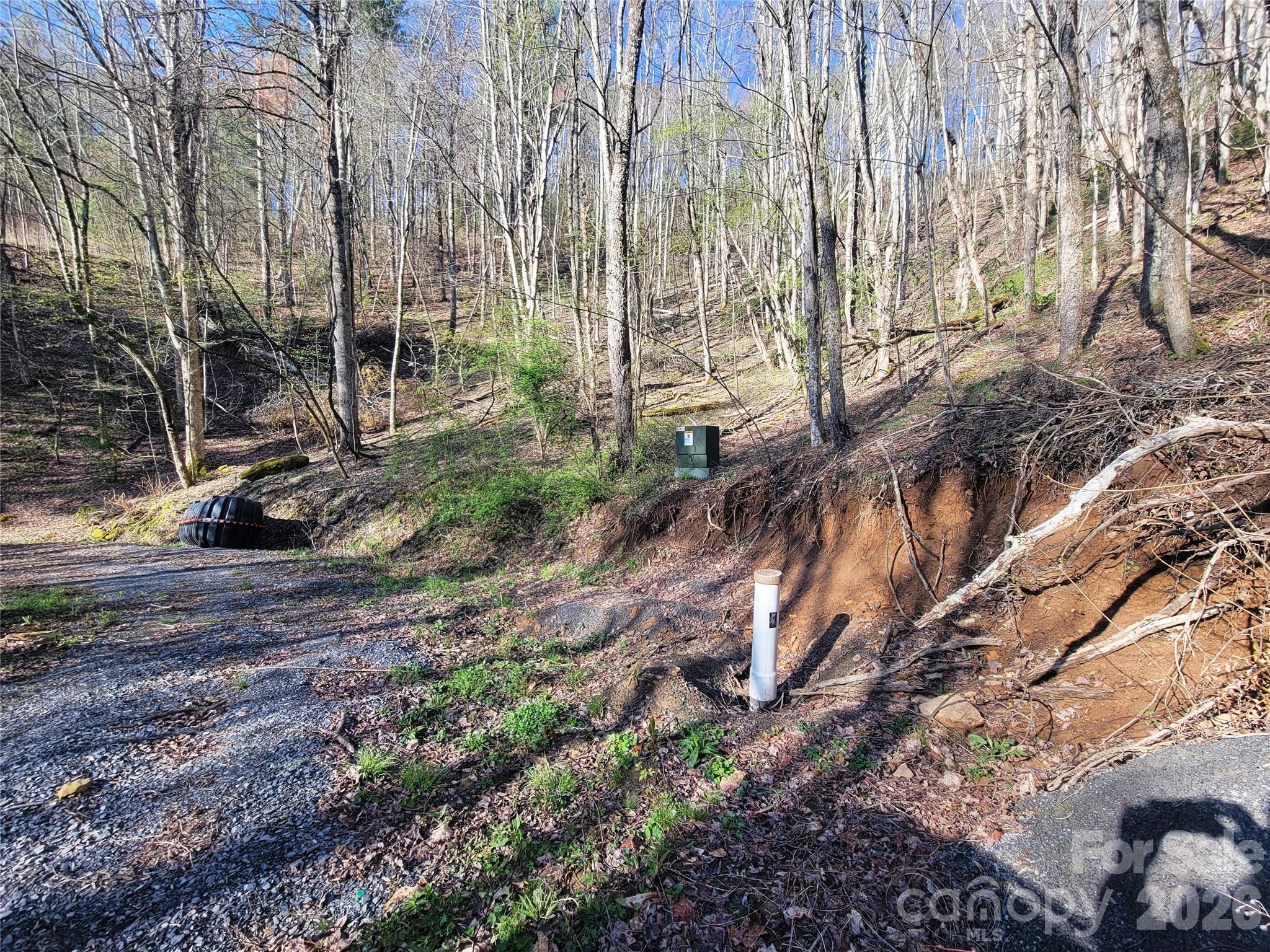 111 Digging Seng Trail 138 Property Photo 12