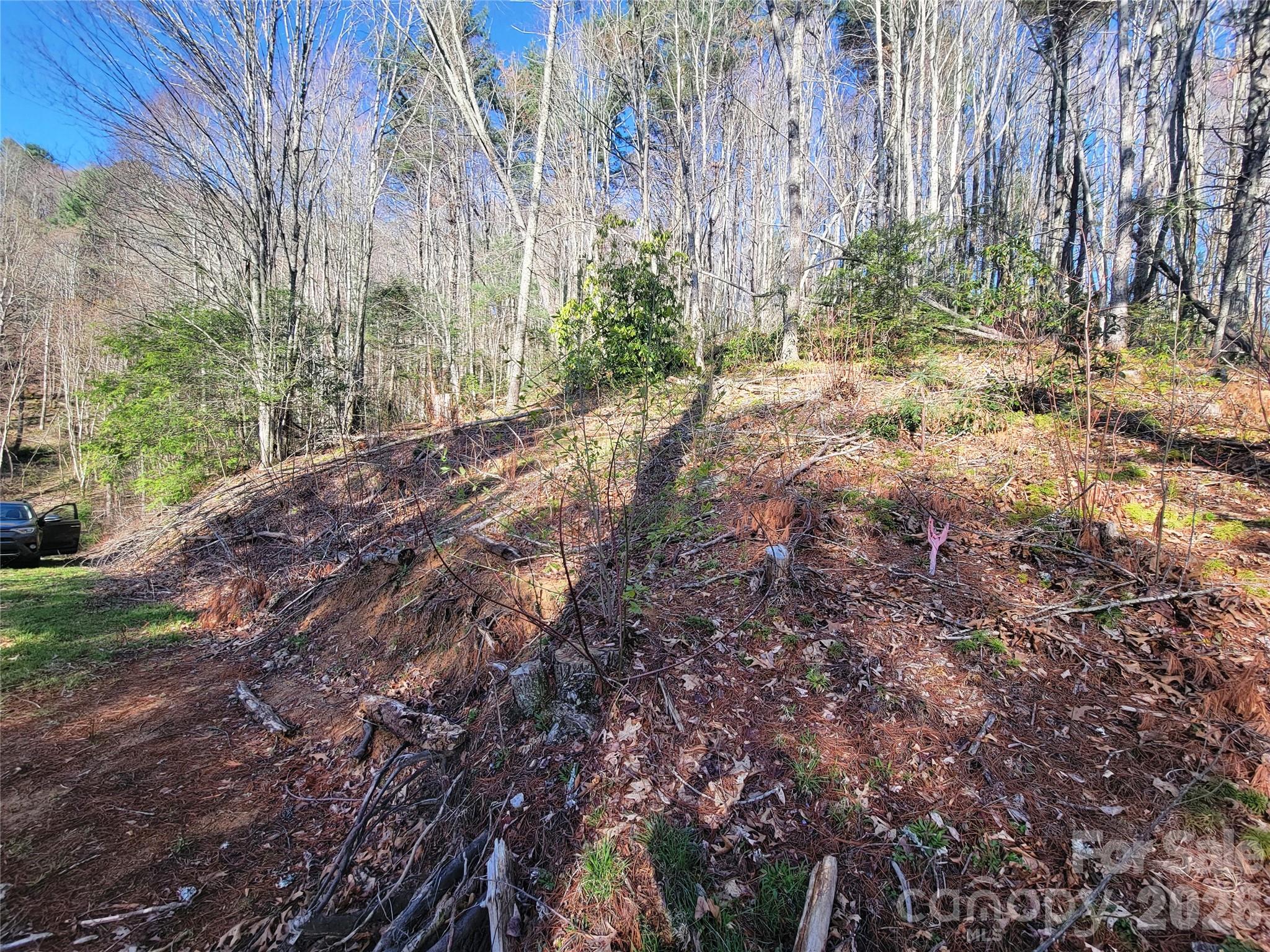 111 Digging Seng Trail 138 Property Photo 14
