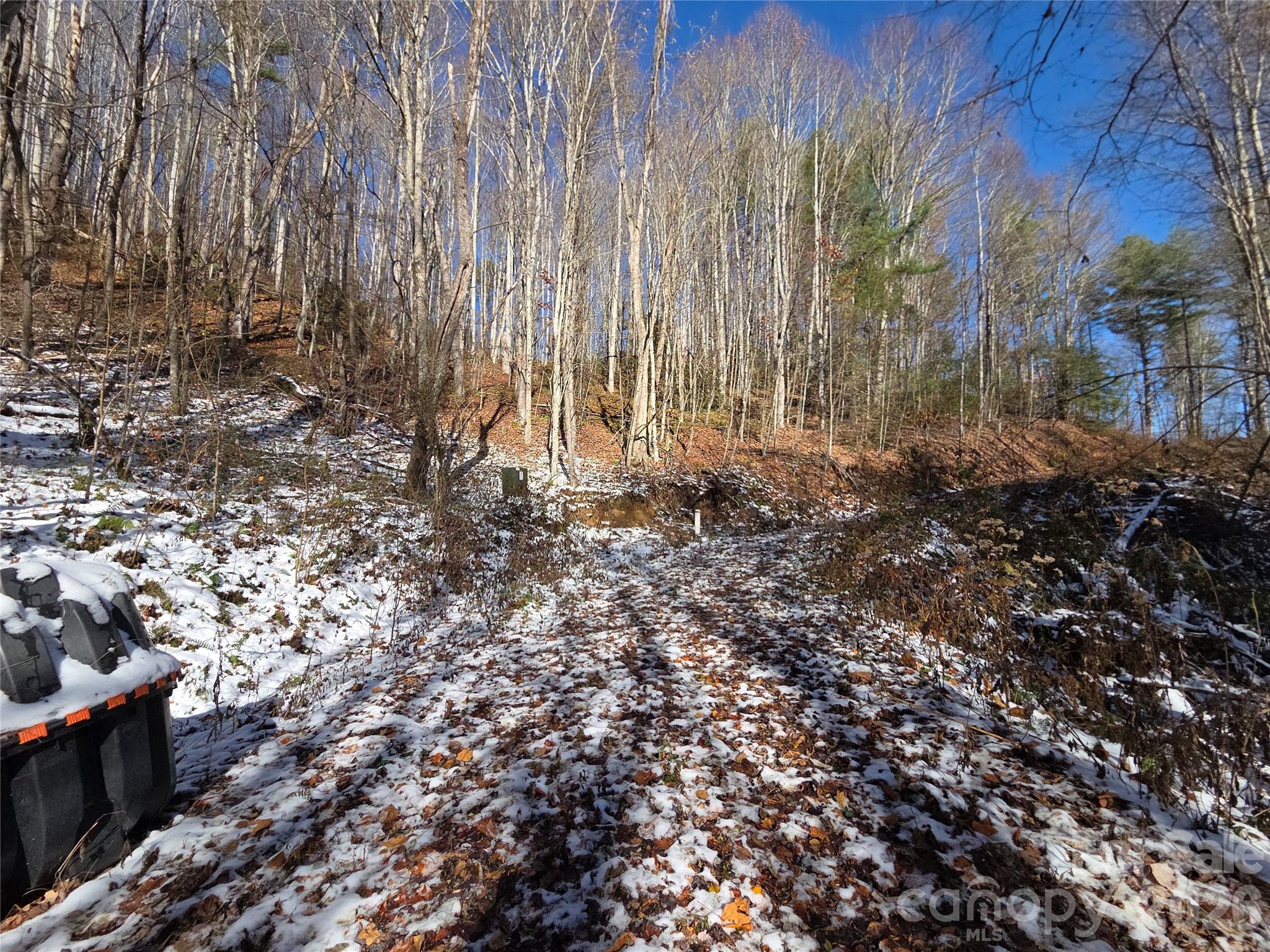 111 Digging Seng Trail 138 Property Photo 21