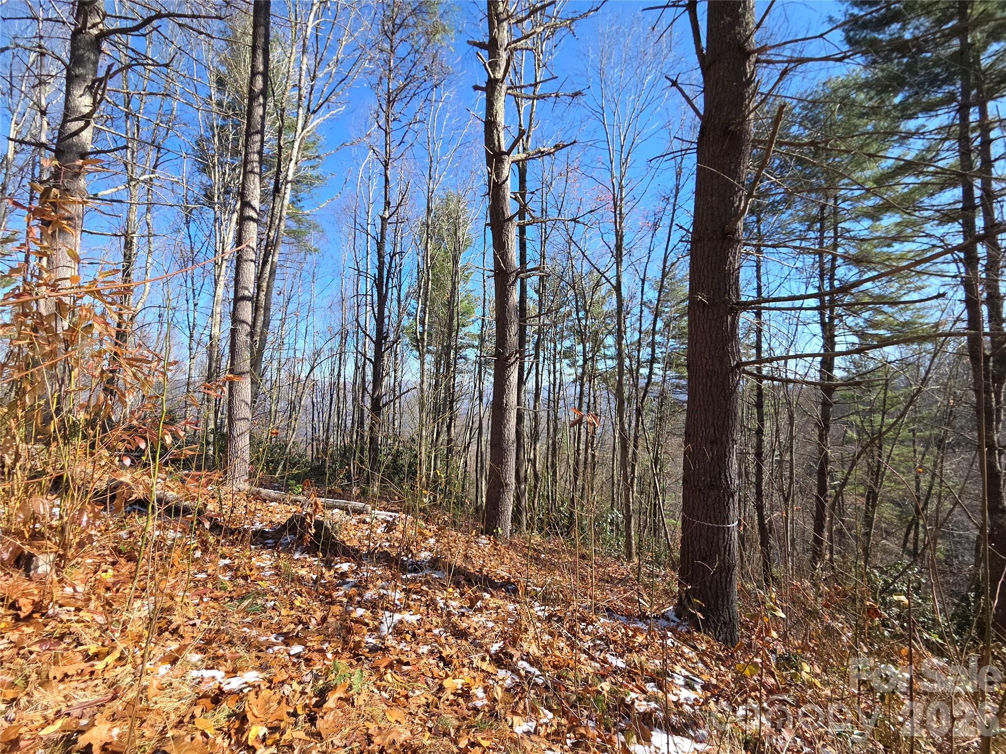 111 Digging Seng Trail 138 Property Photo 22