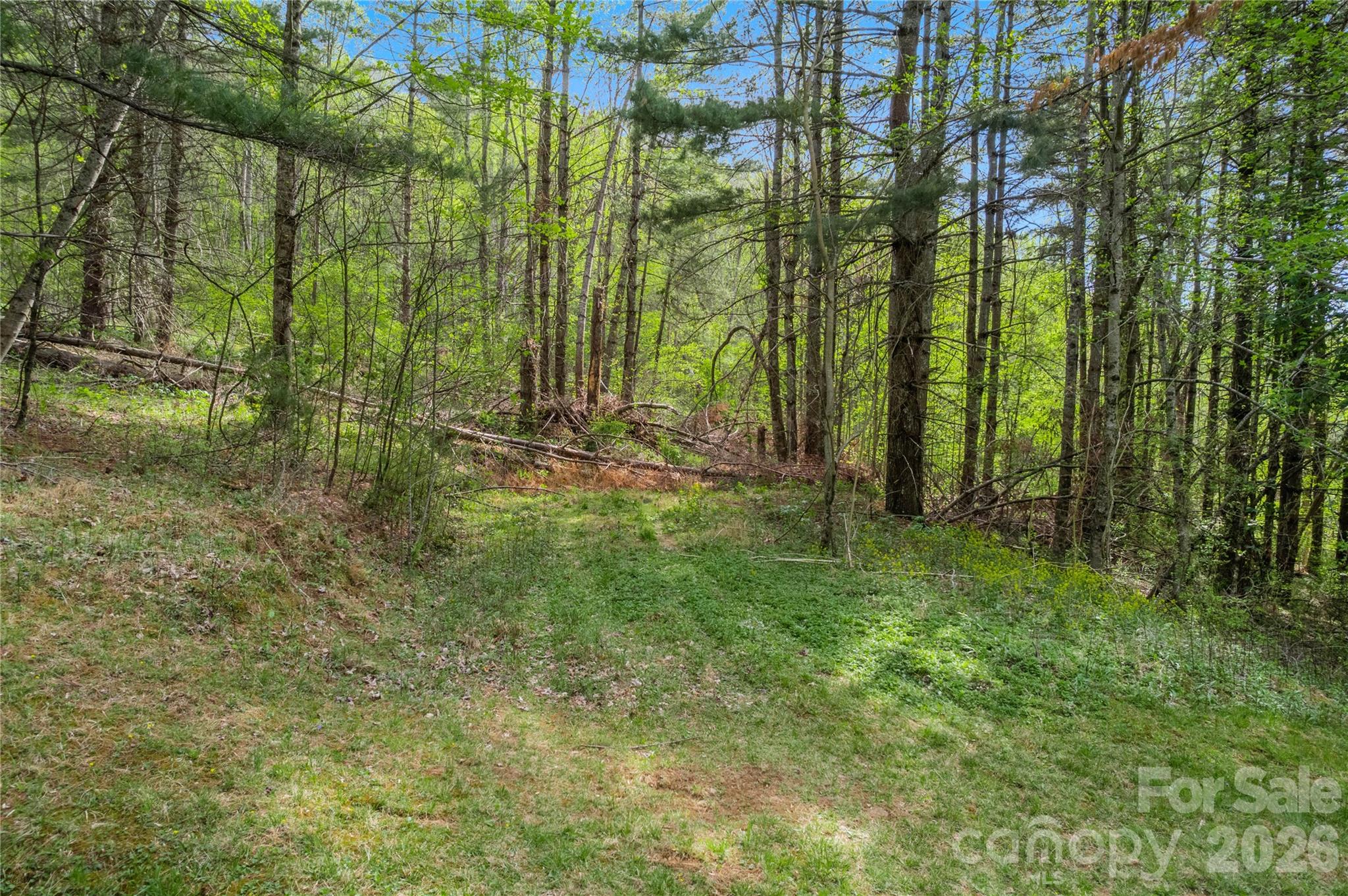 00000 Apple Farm Road Property Photo 15