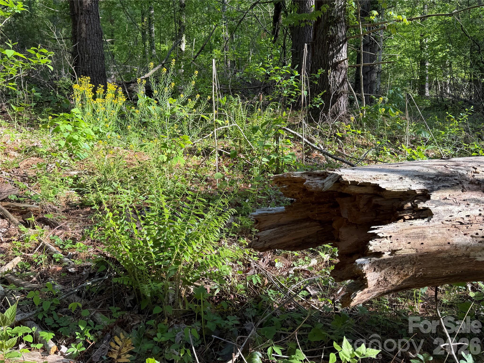 00000 Apple Farm Road Property Photo 17