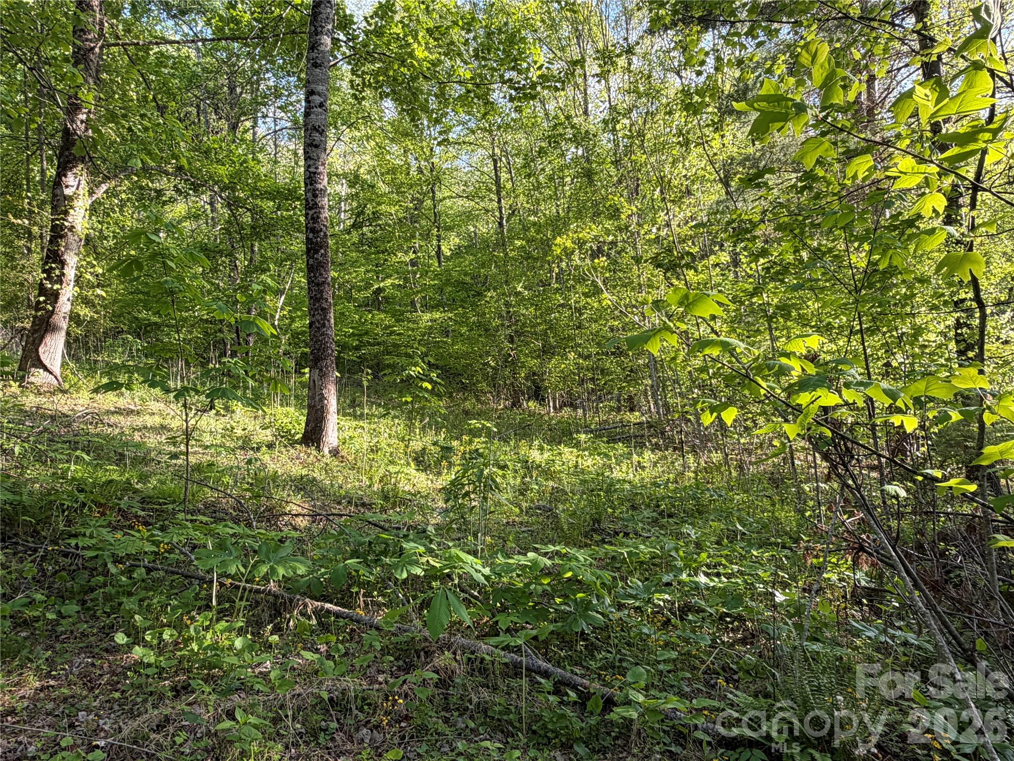 00000 Apple Farm Road Property Photo 19