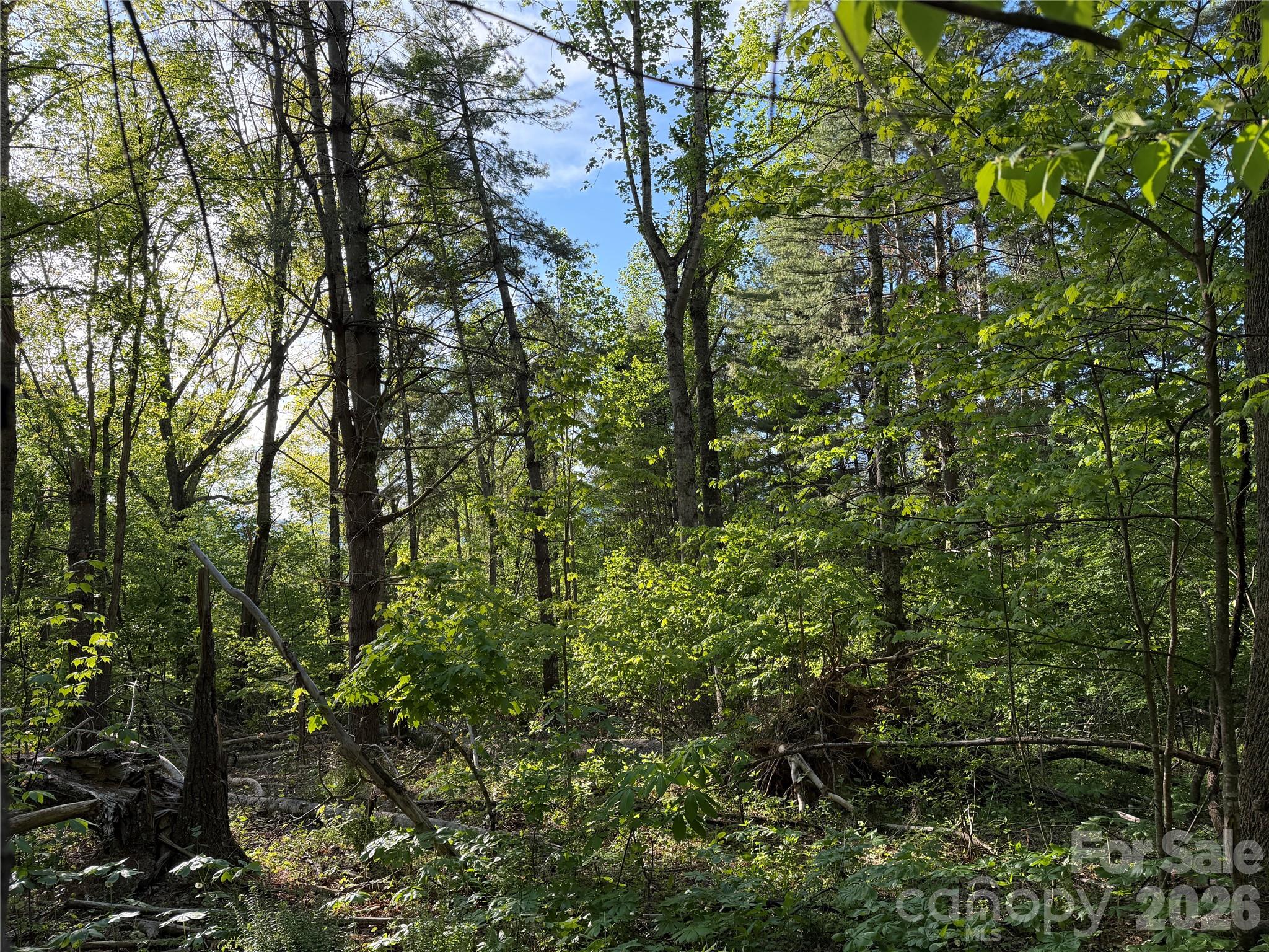 00000 Apple Farm Road Property Photo 20