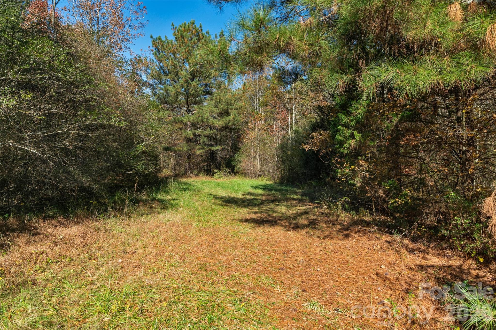 0000 Bud Davis Road 7 Property Photo 15