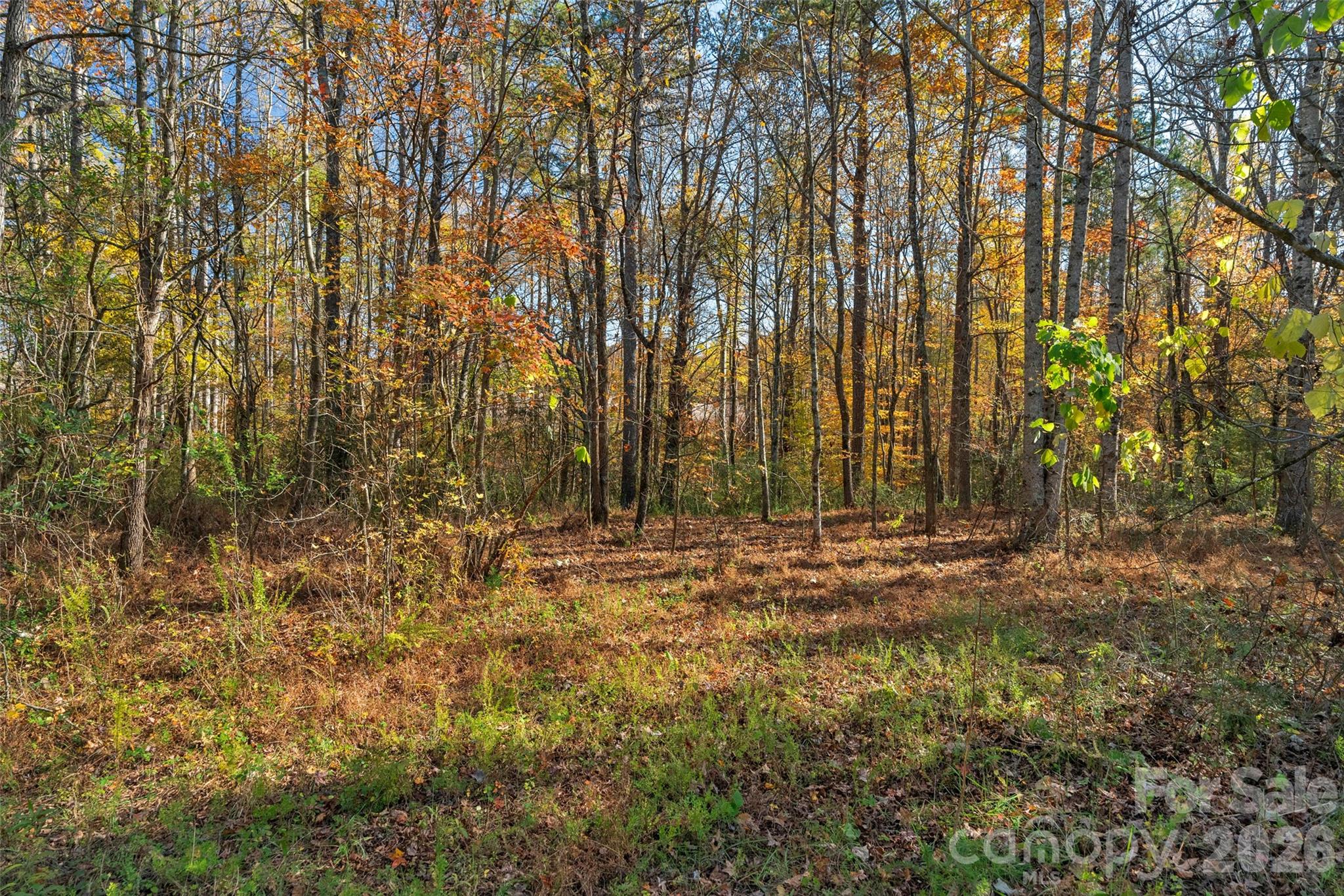 0000 Bud Davis Road 7 Property Photo 16
