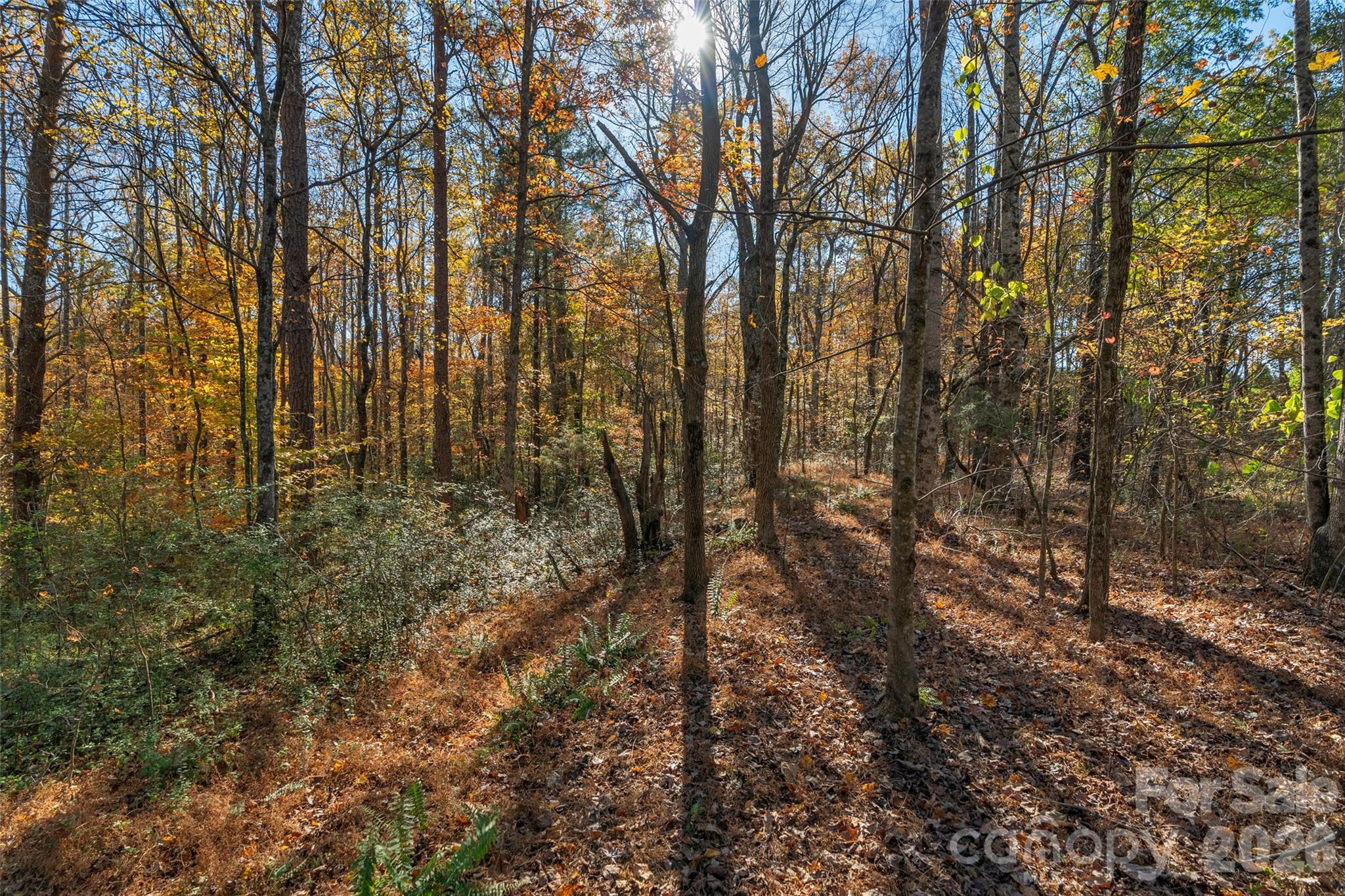 0000 Bud Davis Road 7 Property Photo 17