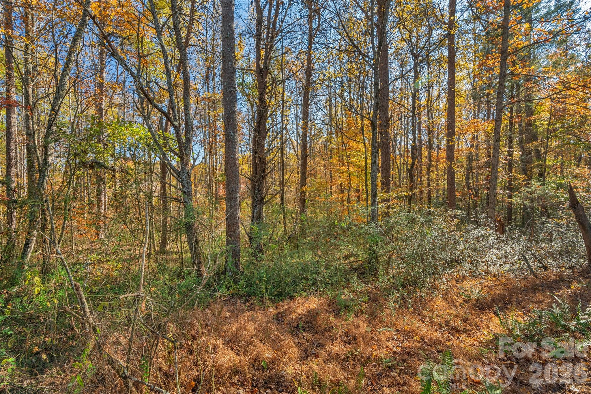 0000 Bud Davis Road 7 Property Photo 18