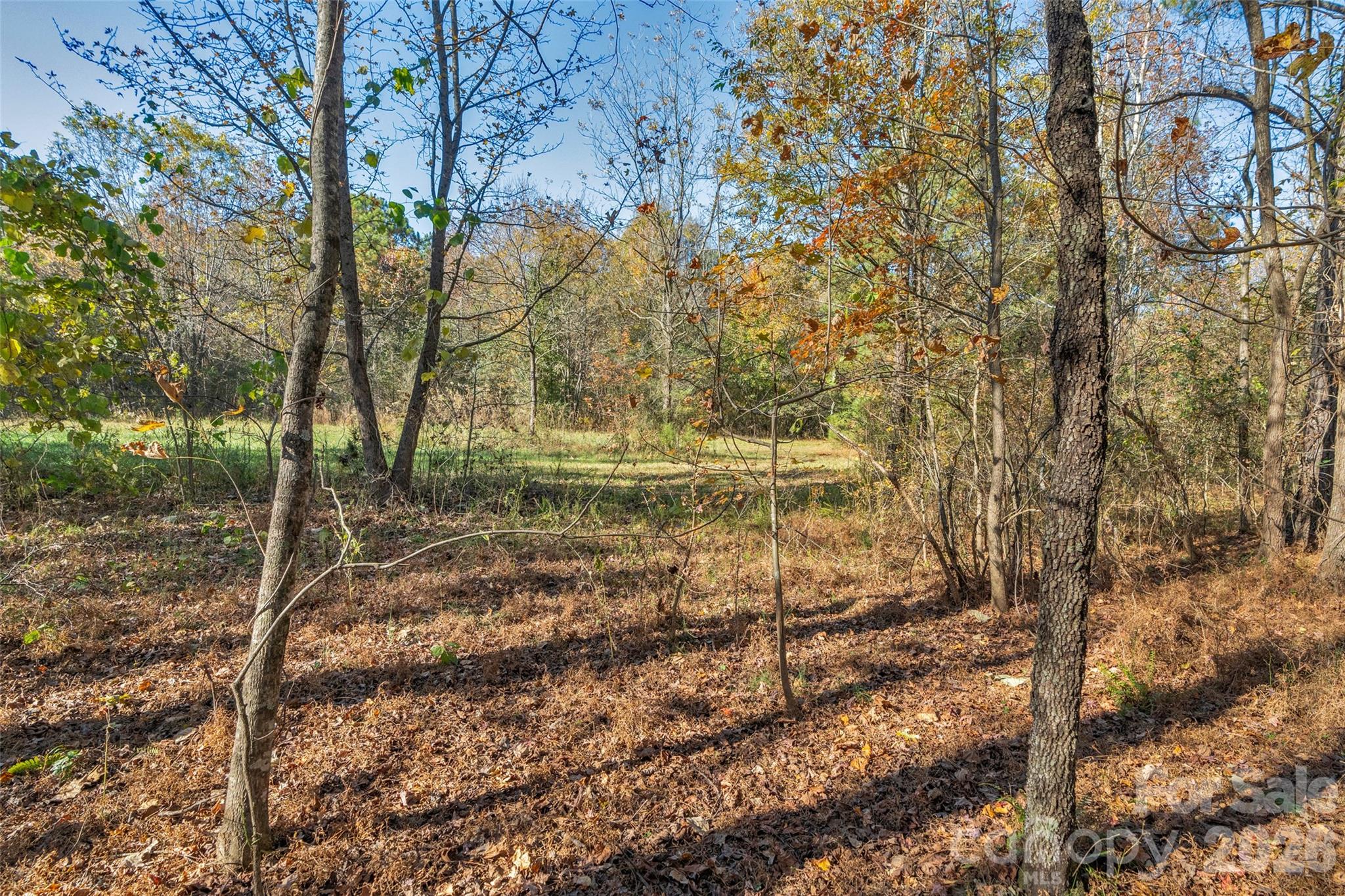 0000 Bud Davis Road 7 Property Photo 19