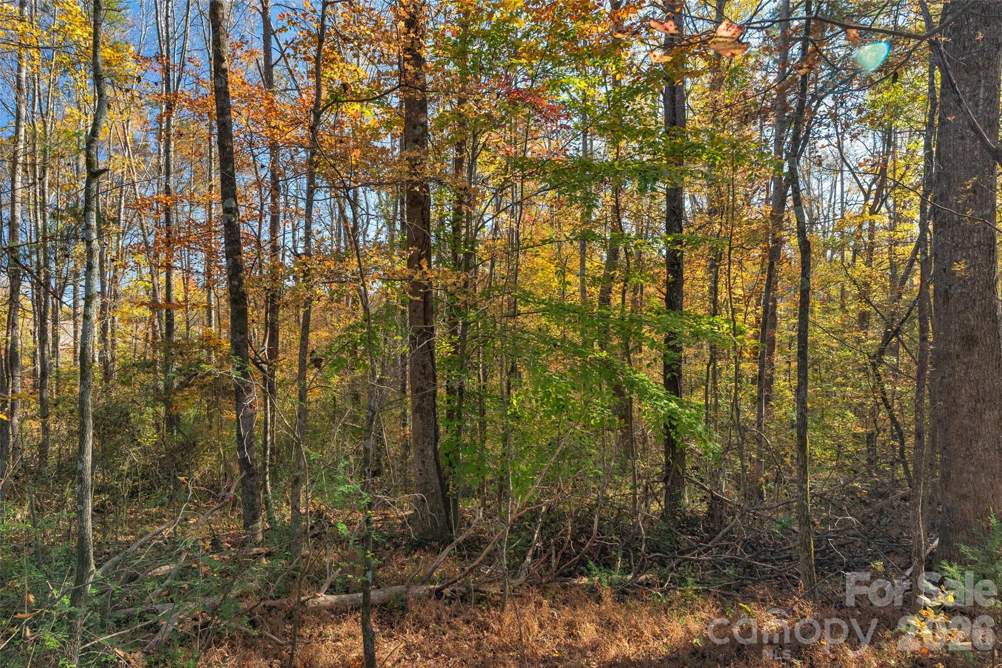 0000 Bud Davis Road 7 Property Photo 20