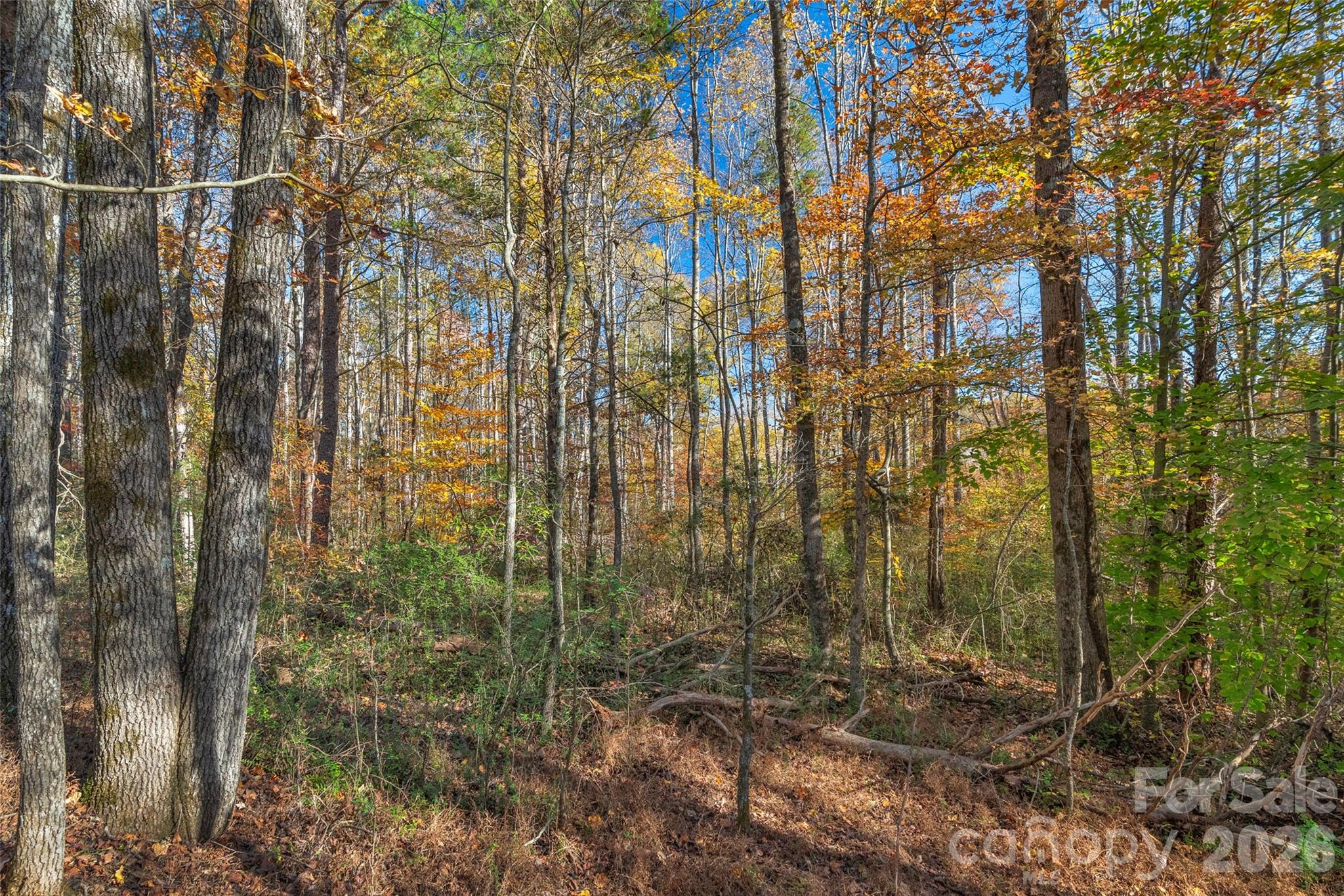 0000 Bud Davis Road 7 Property Photo 21