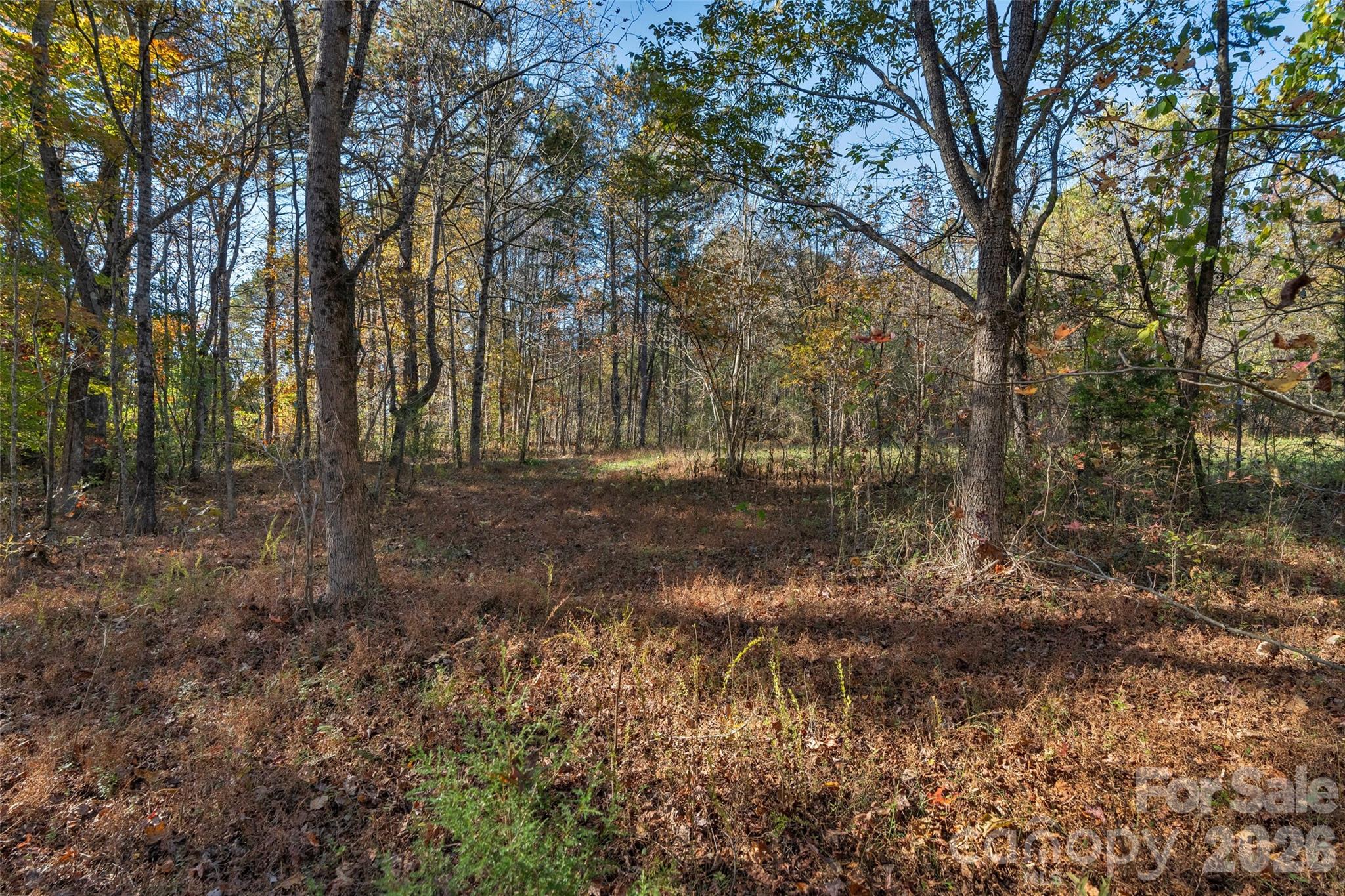 0000 Bud Davis Road 7 Property Photo 22