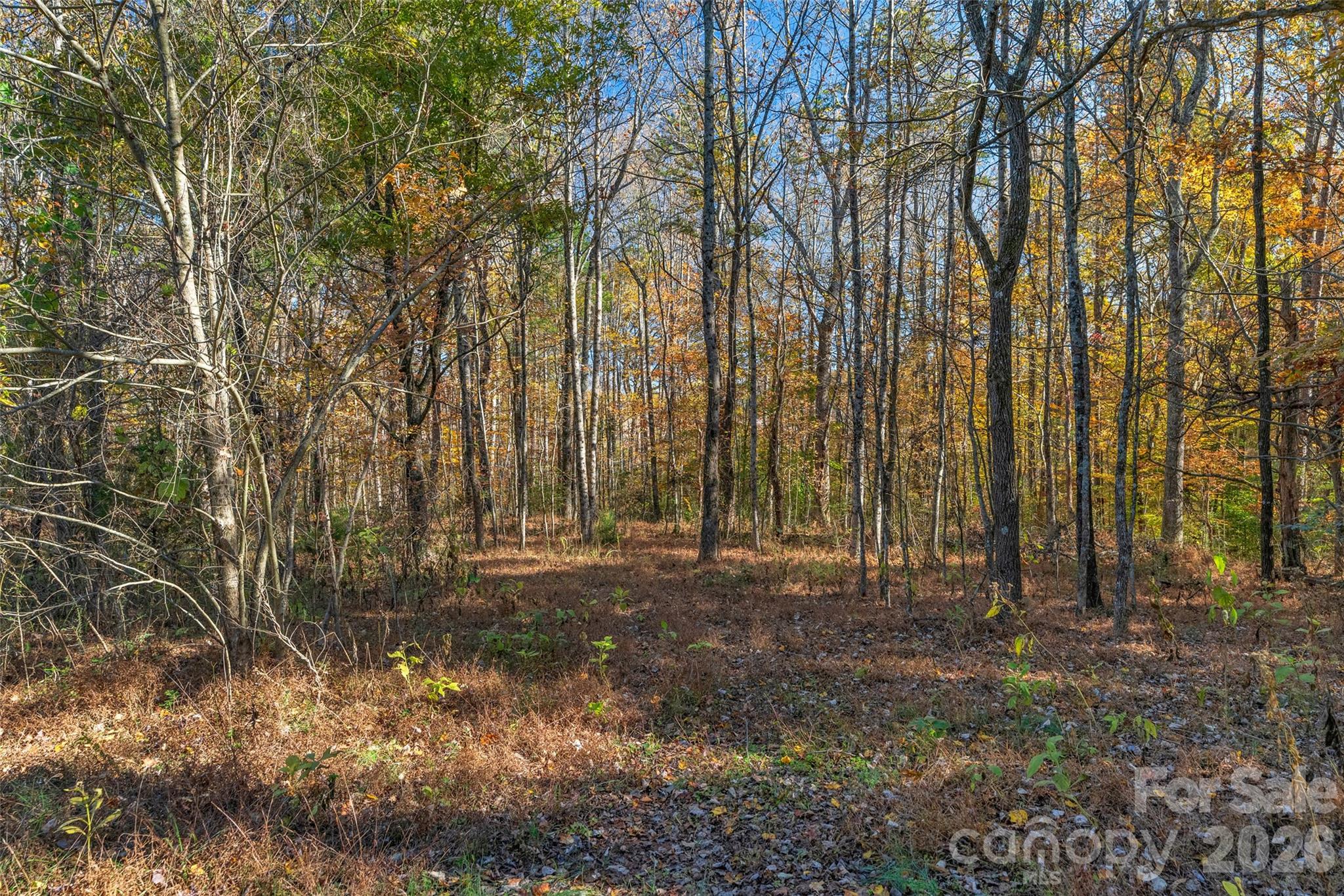 0000 Bud Davis Road 7 Property Photo 23