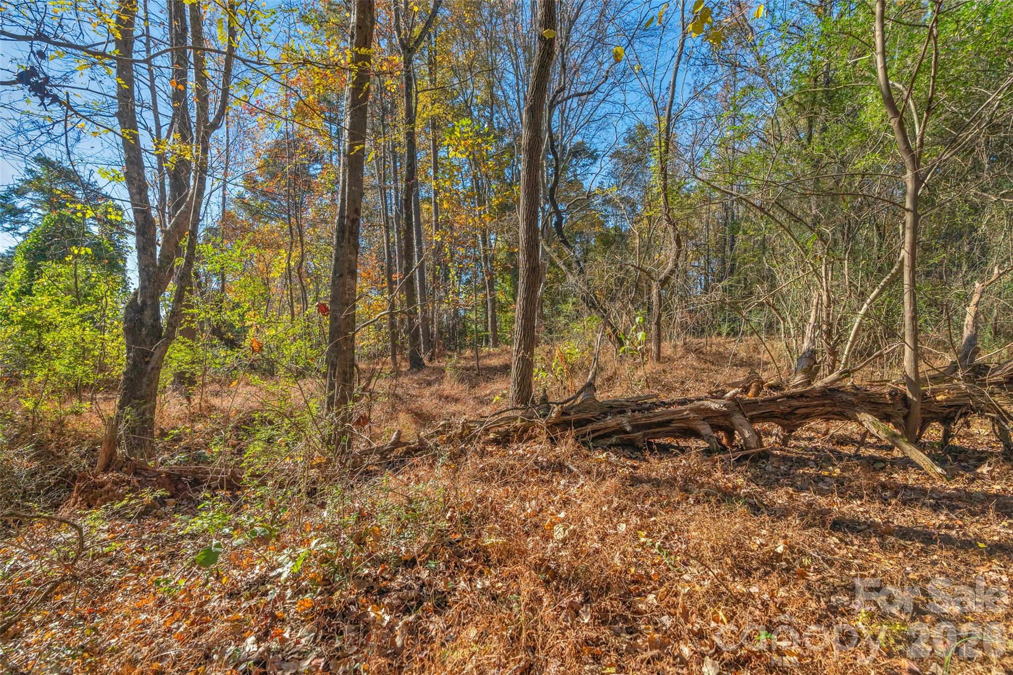 0000 Bud Davis Road 7 Property Photo 24