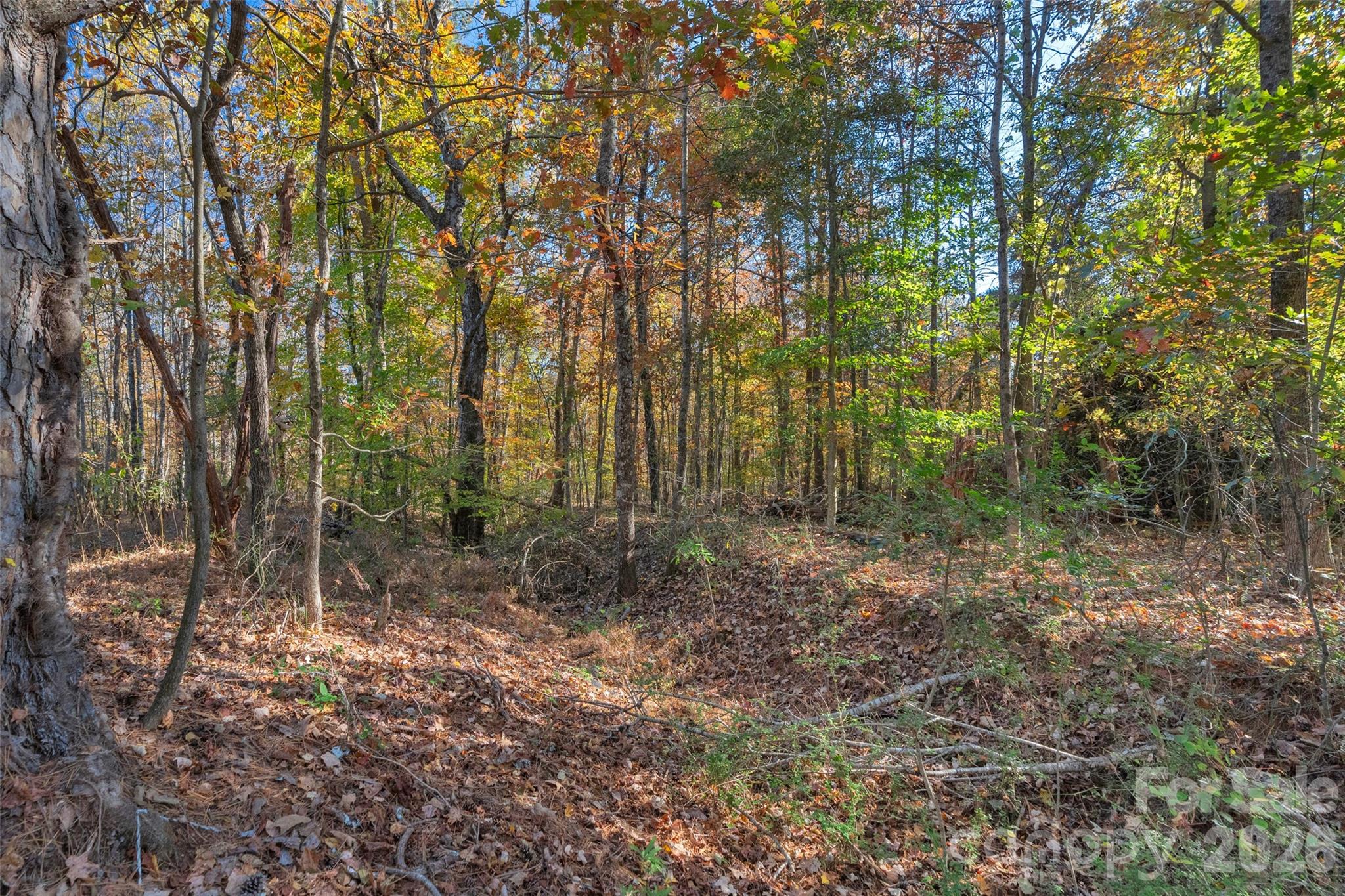 0000 Bud Davis Road 7 Property Photo 25