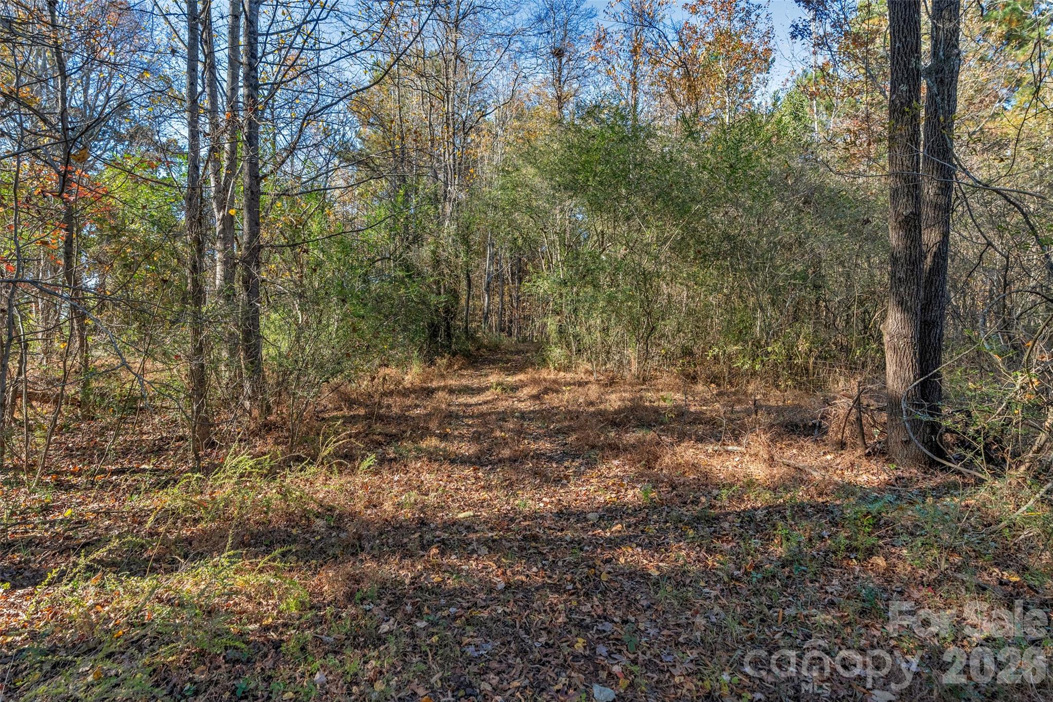 0000 Bud Davis Road 7 Property Photo 26