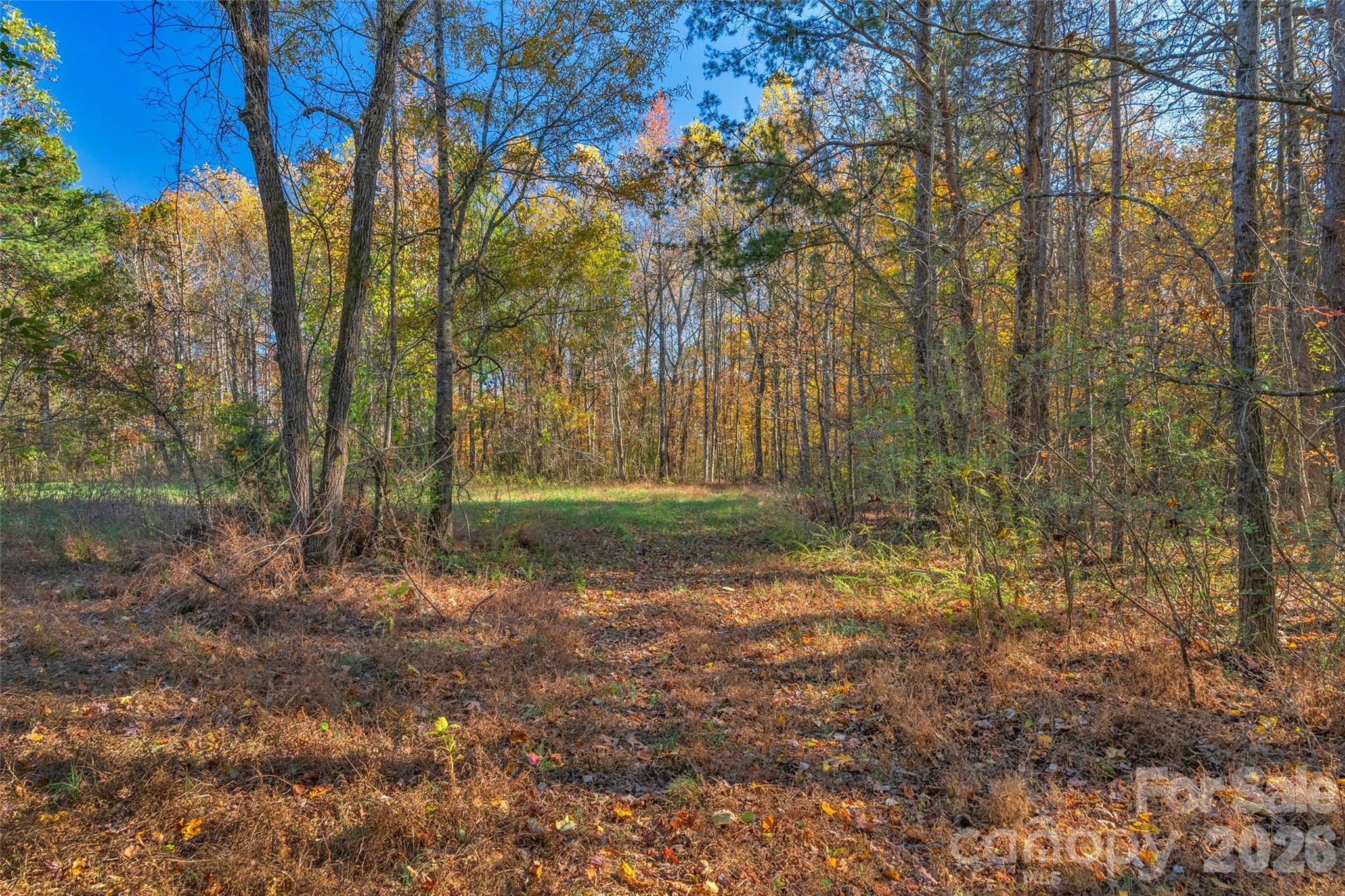 0000 Bud Davis Road 7 Property Photo 27